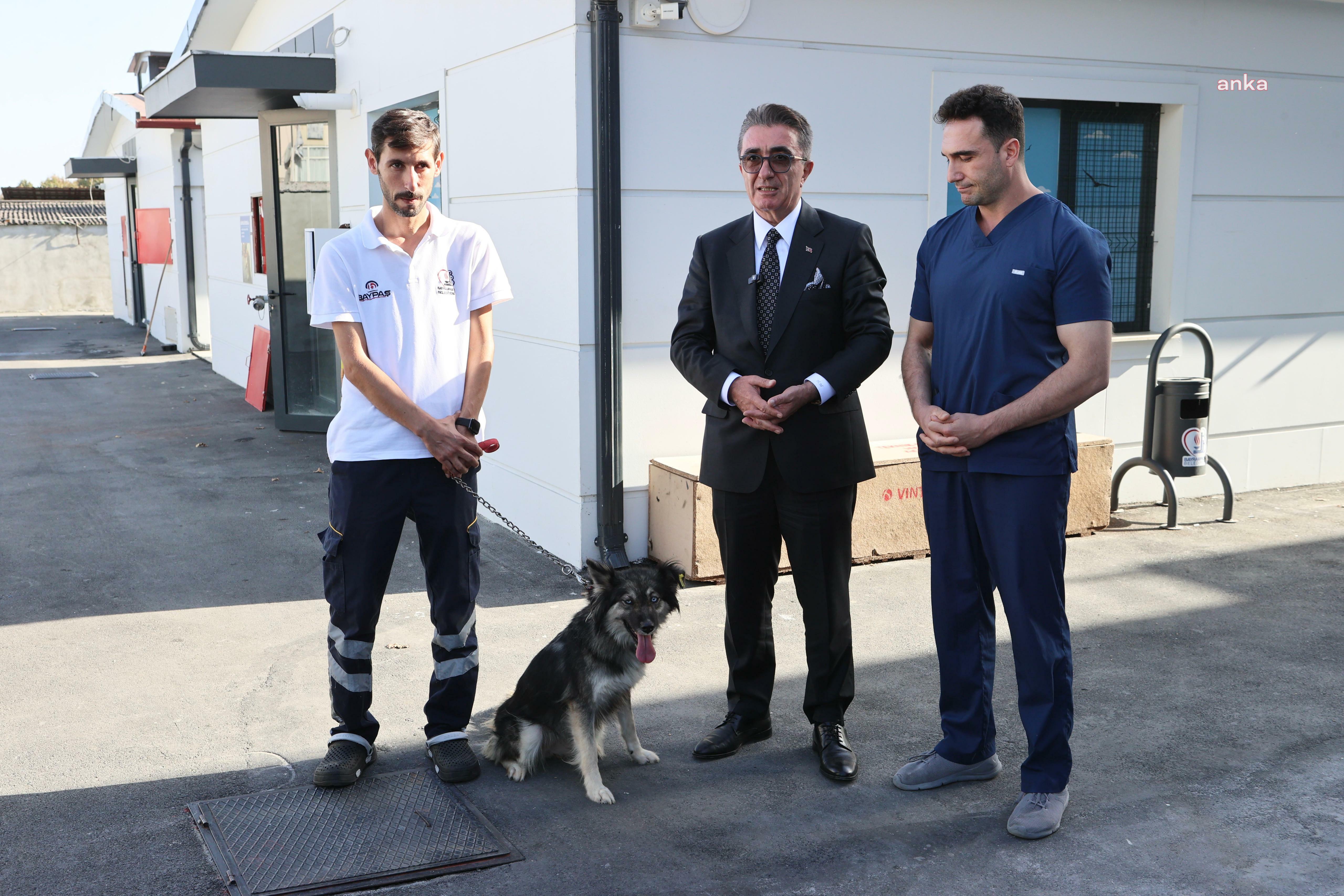 Bayrampaşa Belediye Başkanı Mutlu: "Sahiplenelim, kısırlaştıralım, yaşatalım"