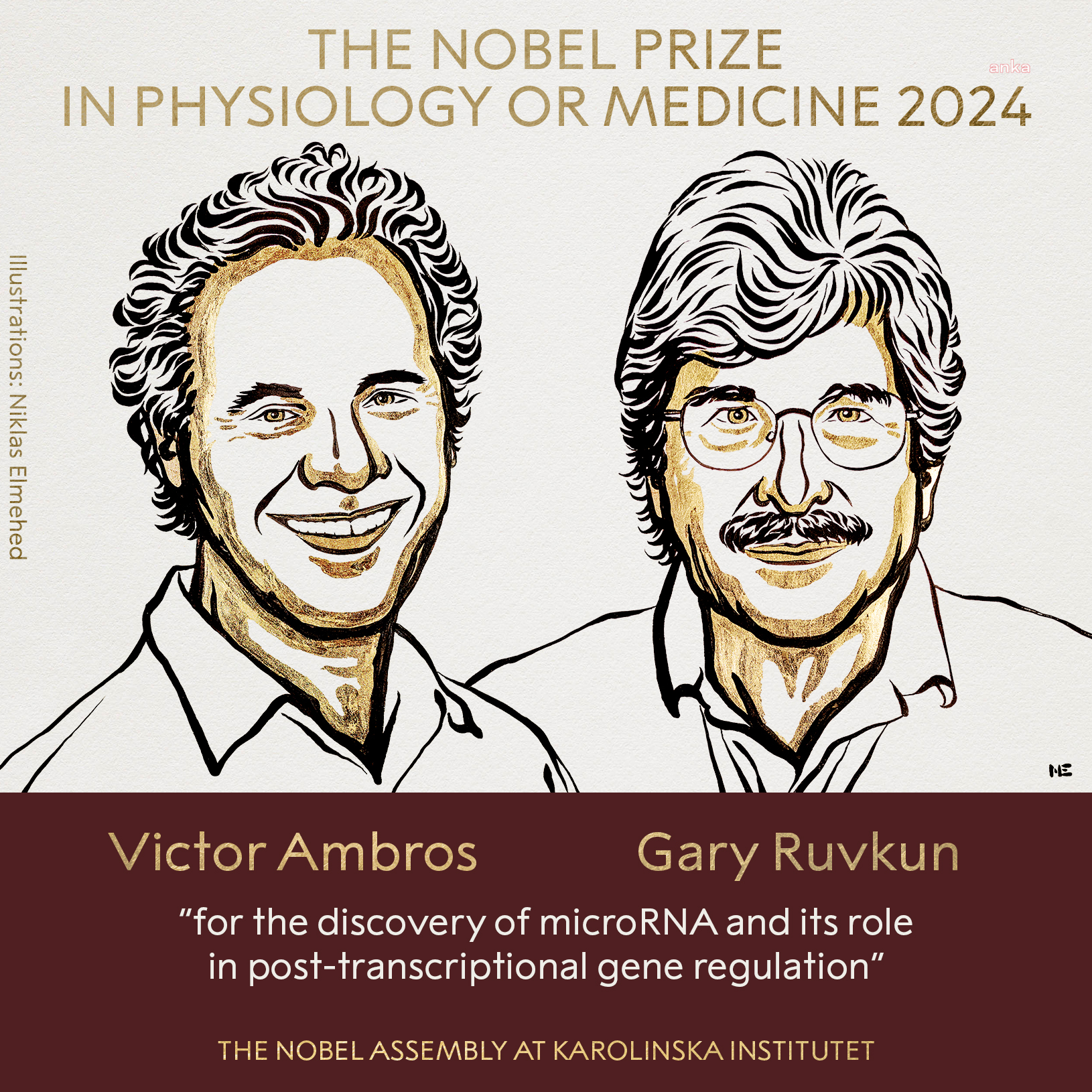 2024 Nobel Tıp Ödülü'ne ABD’li biyologlar Victor Ambros ve Gary Ruvkun layık görüldü