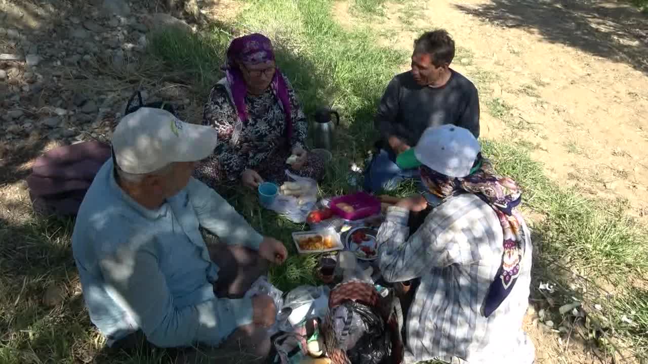 Zeytin üreticisi isyan etti: "Bugün zeytin üreticisi umutlu da, mutlu da değildir"