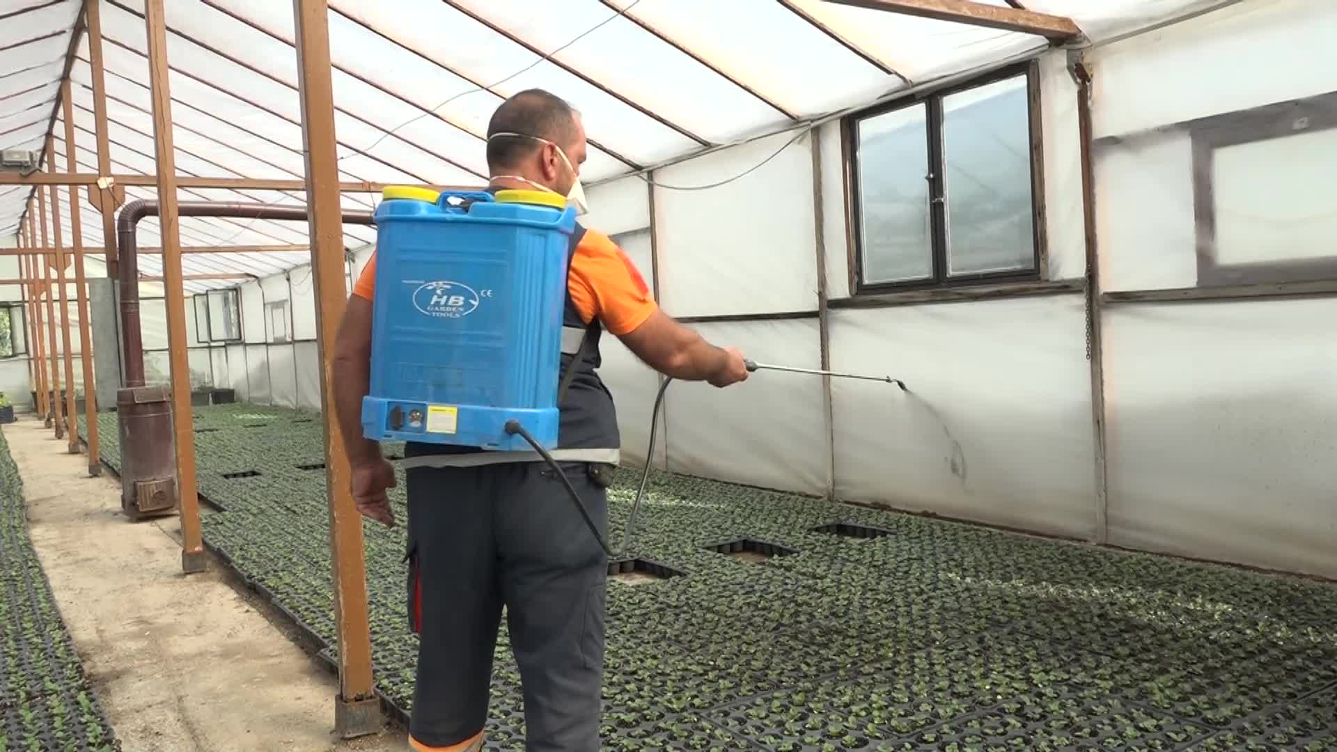 Çankaya Çansera'da kışlık çiçek üretimi başladı
