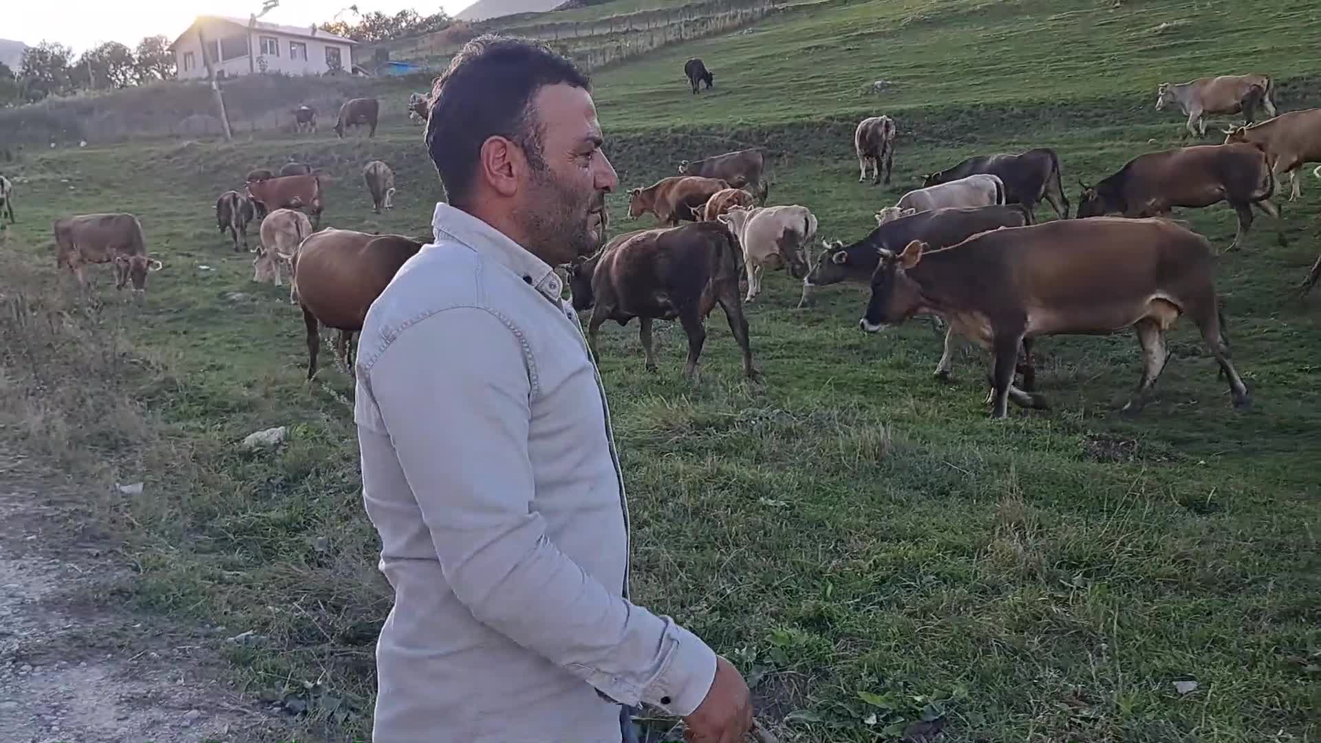 Artvinli besici: "Bizler üretiyoruz ama parayı üç, beş tüccar kazanıyor"