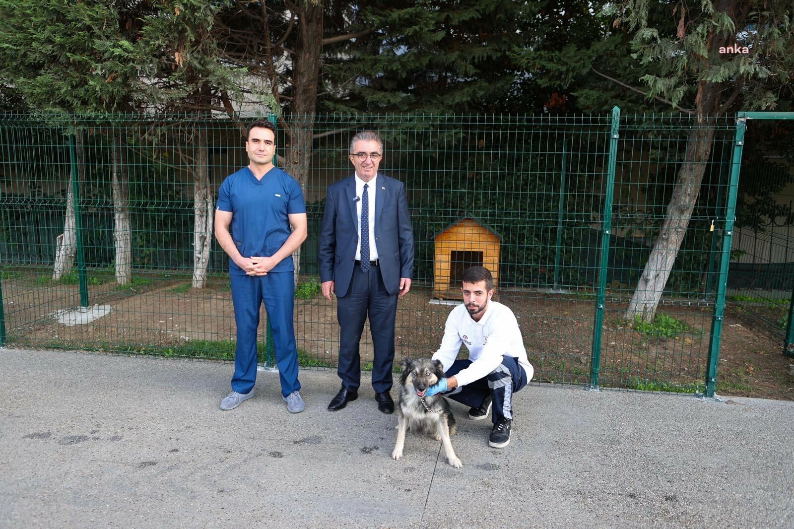 Bayrampaşa Belediye Başkanı Mutlu, barınaktan köpek sahiplendi: “Sahiplenelim, kısırlaştıralım, yaşatalım”