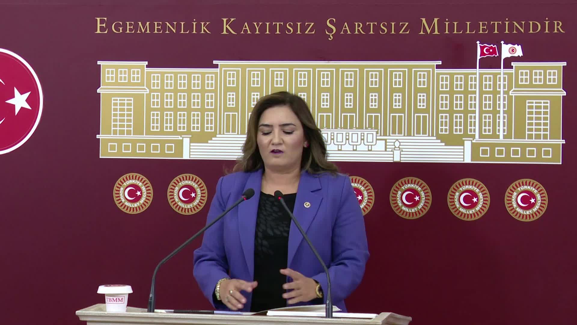 Sevda Erdan Kılıç: "2024 yılının ilk 9 ayında 35 çocuk aile katliamları sonucu katledildi. Şiddet sarmalı çocukları da yutmaya başladı"