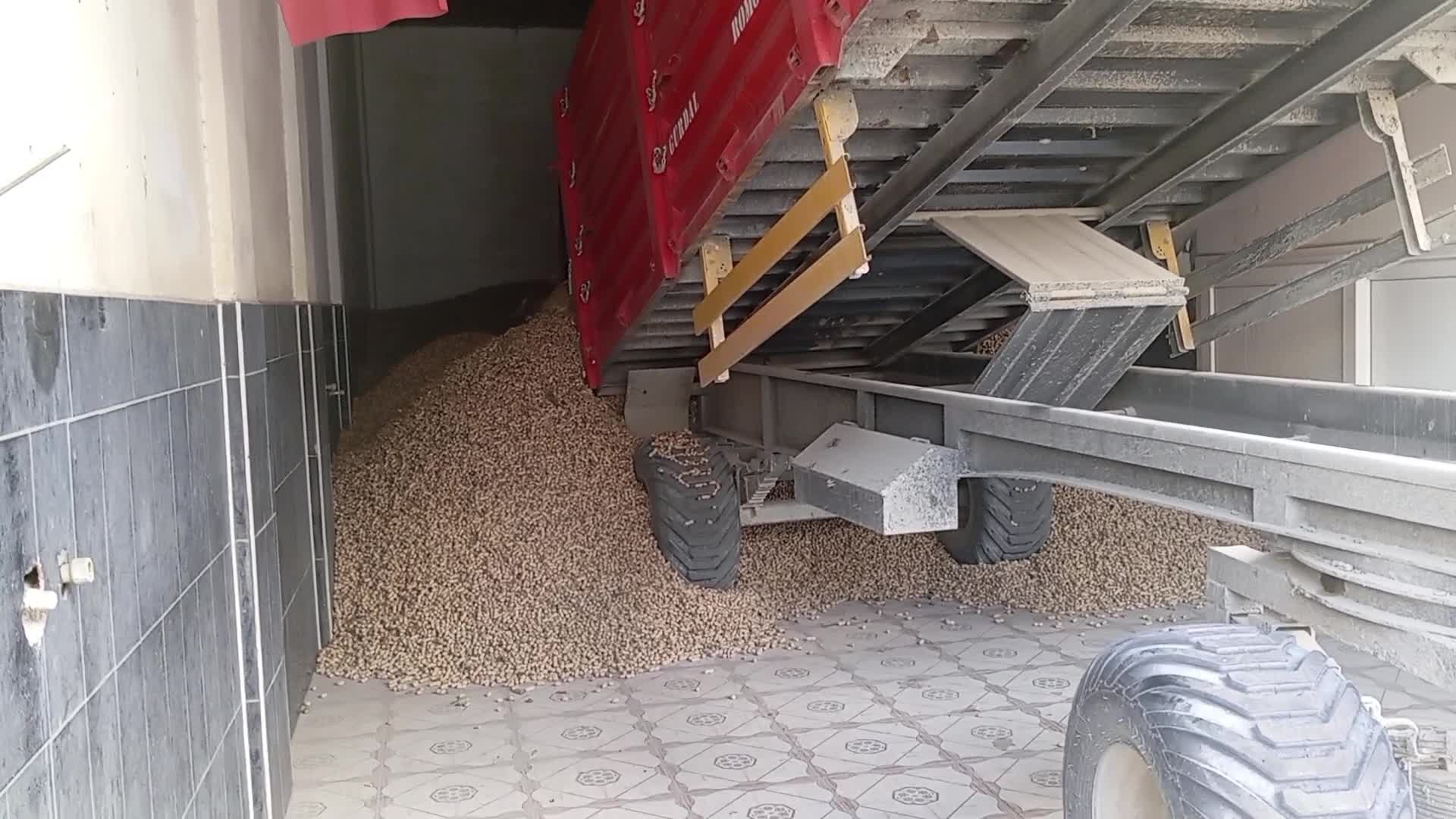 Yer fıstığı üreticisi 25 liradan tüccara vermek istemediği ürününü, sosyal medyadan satmaya çalışıyor