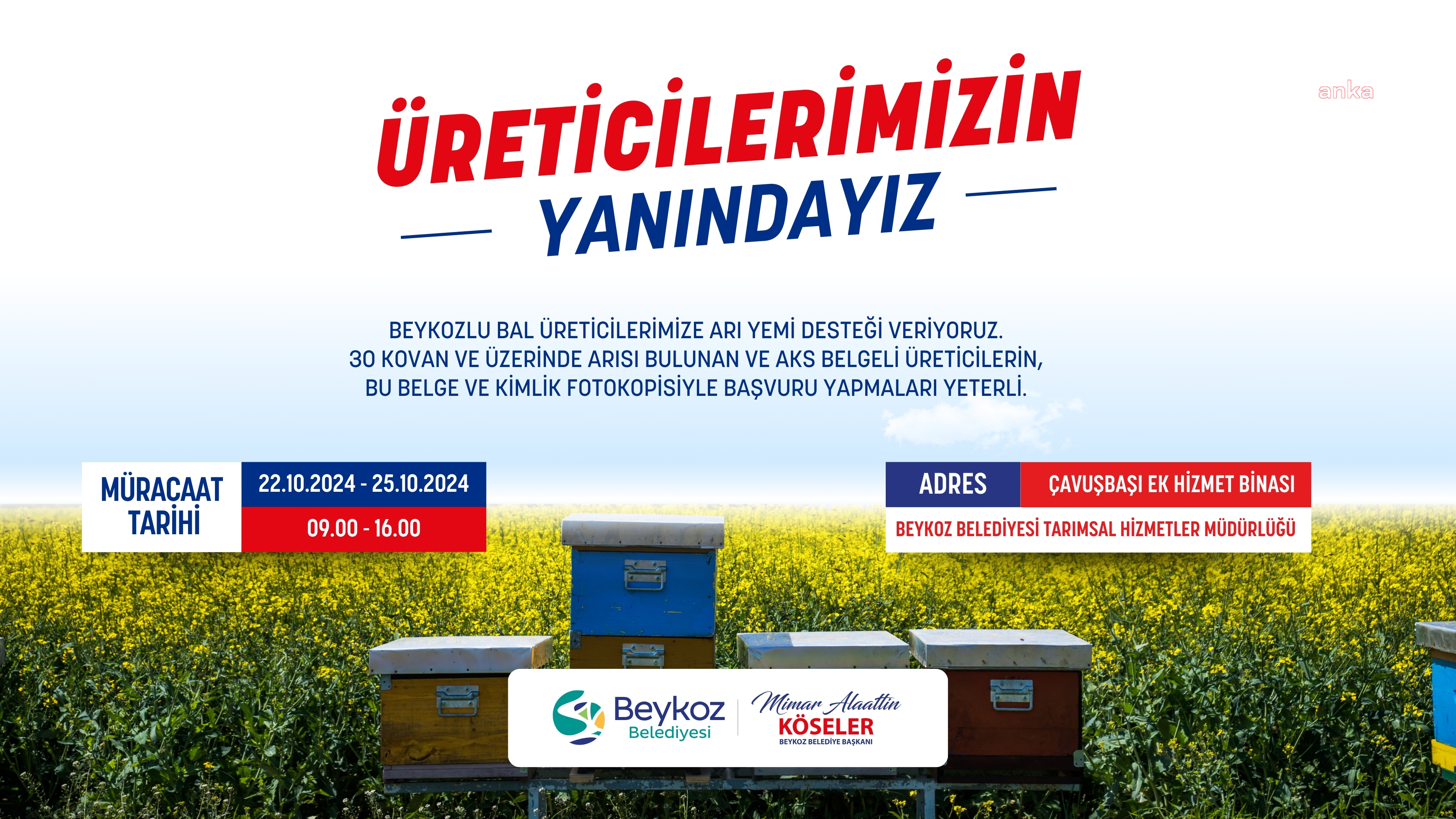 Beykoz Belediyesi’nden arıcılığa destek