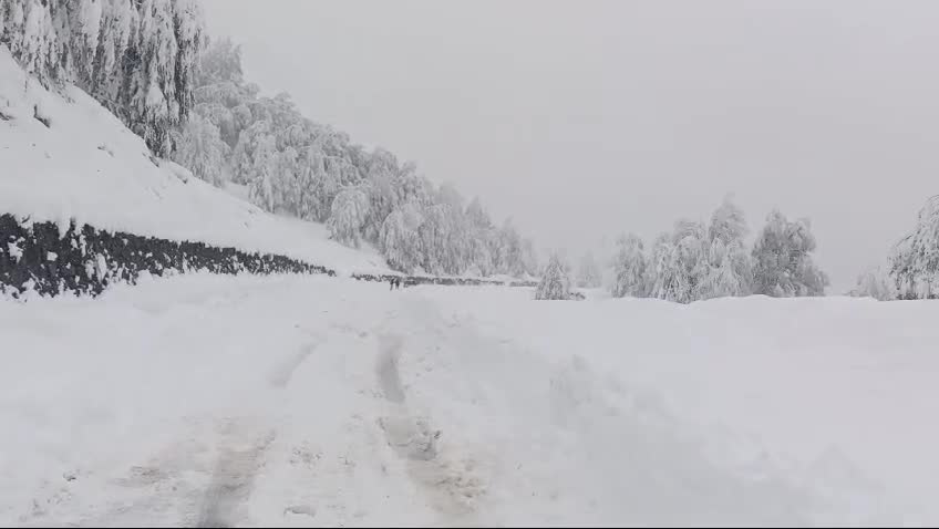 Artvin Macahel'de yoğun kar yağışının ardından bazı yollar ulaşıma kapandı