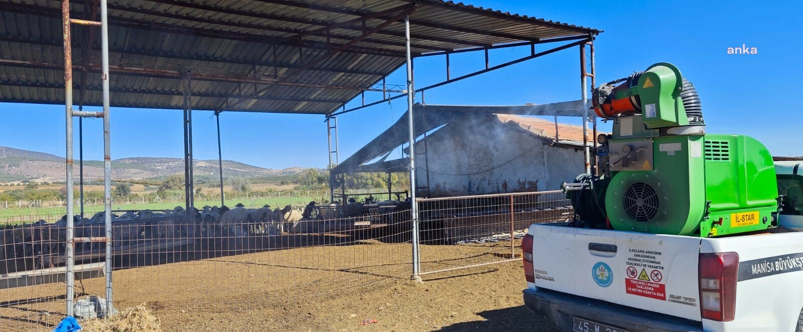 Manisa Büyükşehir Belediyesi’nden 'mavi dil' hastalığına karşı mücadele