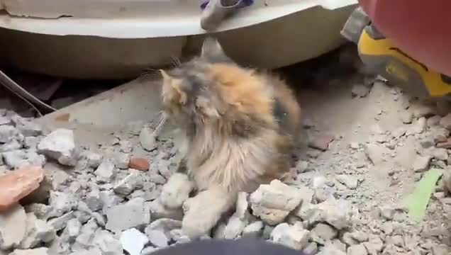 METEOROLOJİ'DEN DOĞU KARADENİZ İÇİN KUVVETLİ YAĞIŞ UYARISI