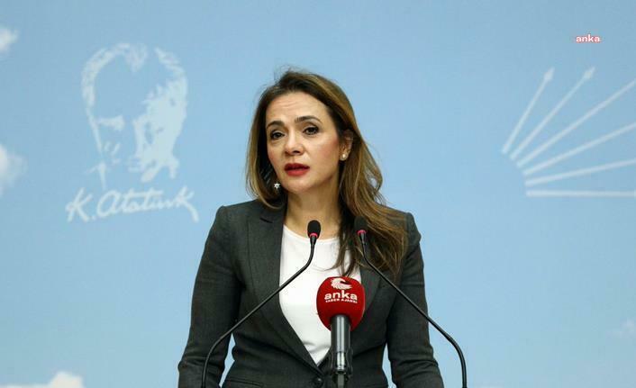 Gamze Akkuş İlgezdi: "AKP’nin eğitim sistemi iflas etti"