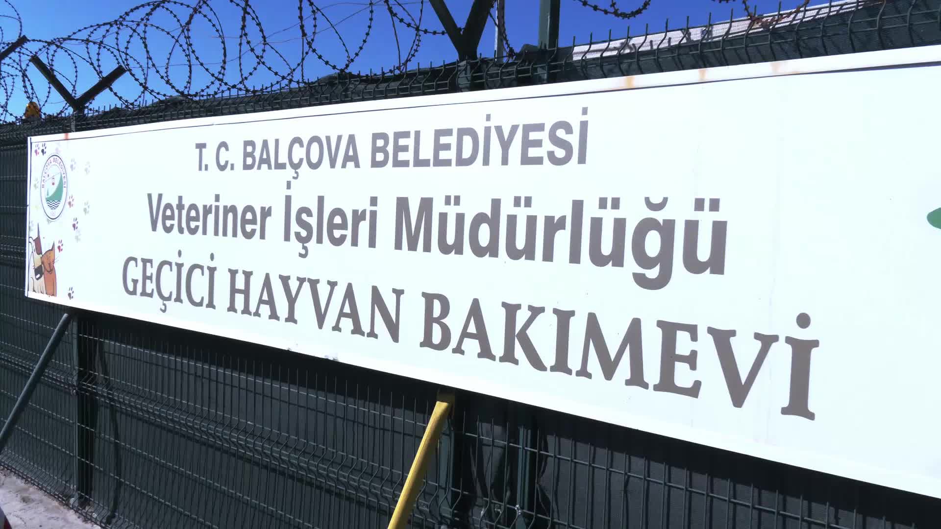 Balçova Belediyesi Arama Kurtarma ekibi BAL-KUT'a hayvan arama kurtarma eğitimi verildi