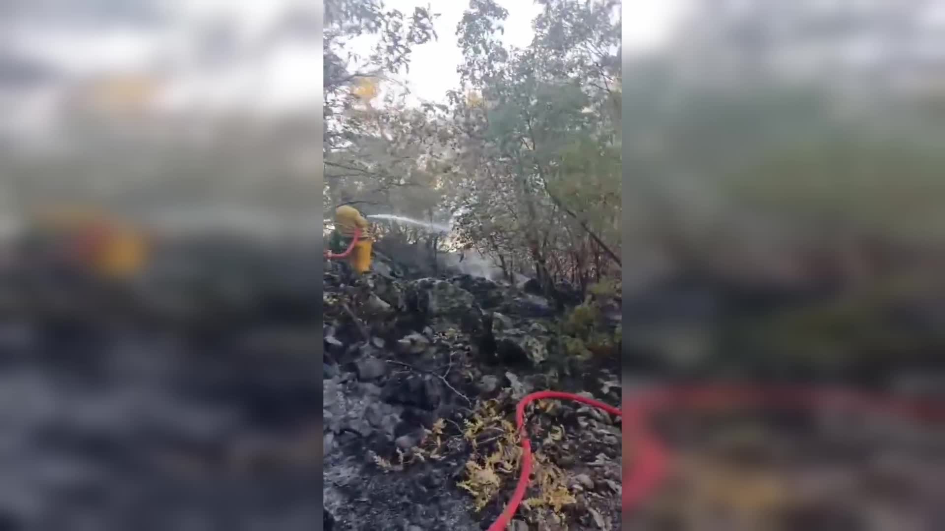 OGM: Kahramanmaraş'taki yangın kontrol alındı