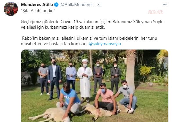 ESKİ BELEDİYE BAŞKANI, BAKAN SOYLU İÇİN KURBAN KESTİRDİ