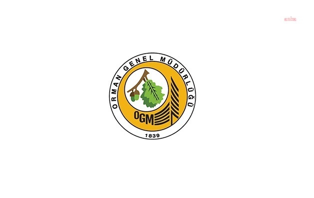 OGM: Hatay'daki orman yangını kontrol altına alındı