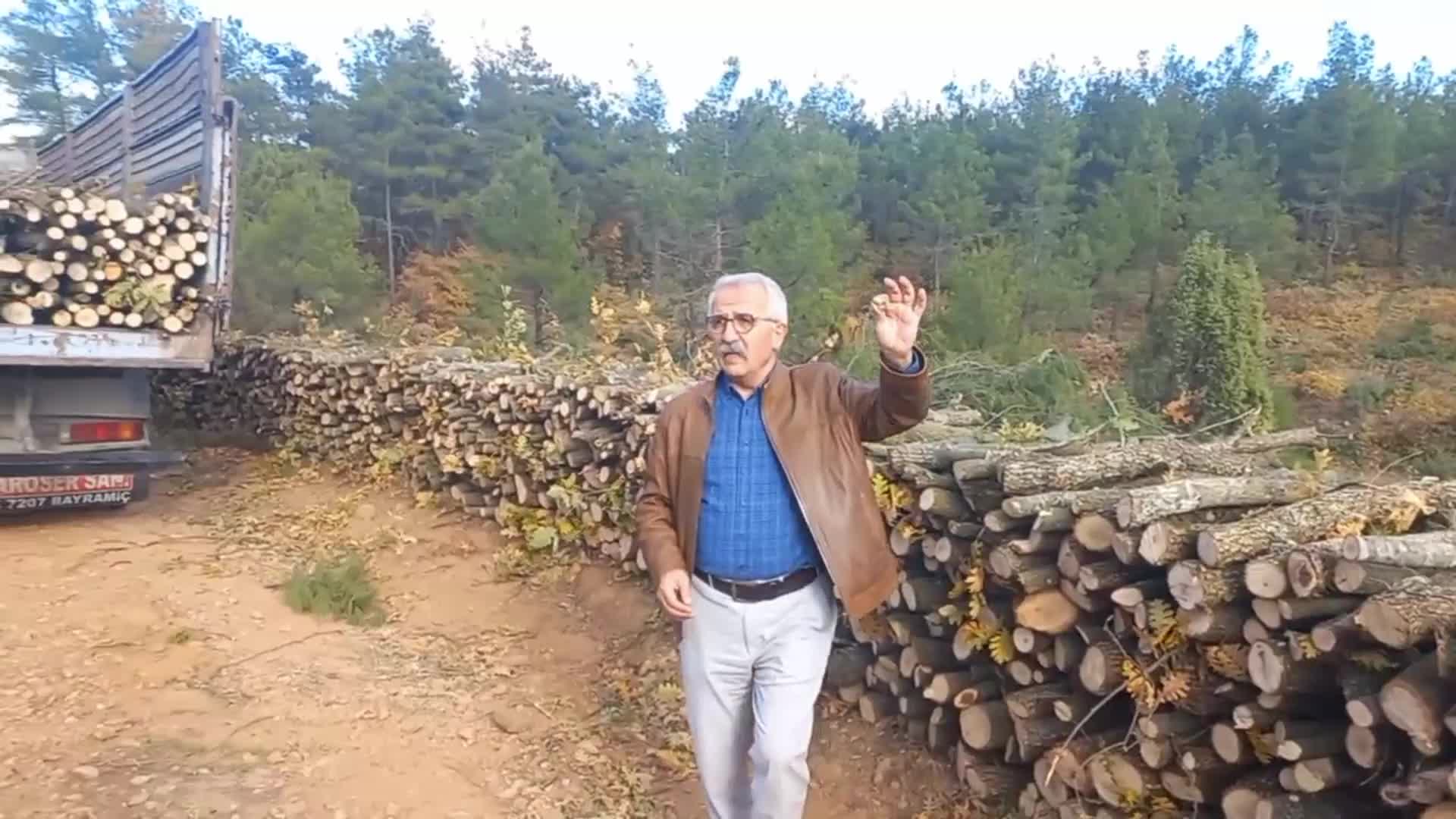 HKP, Kazdağları'ndaki ağaç katliamını protesto etti: "Bu kanunsuzluklara, vurgunlara, talanlara karşı mücadele etmeye devam edeceğiz"