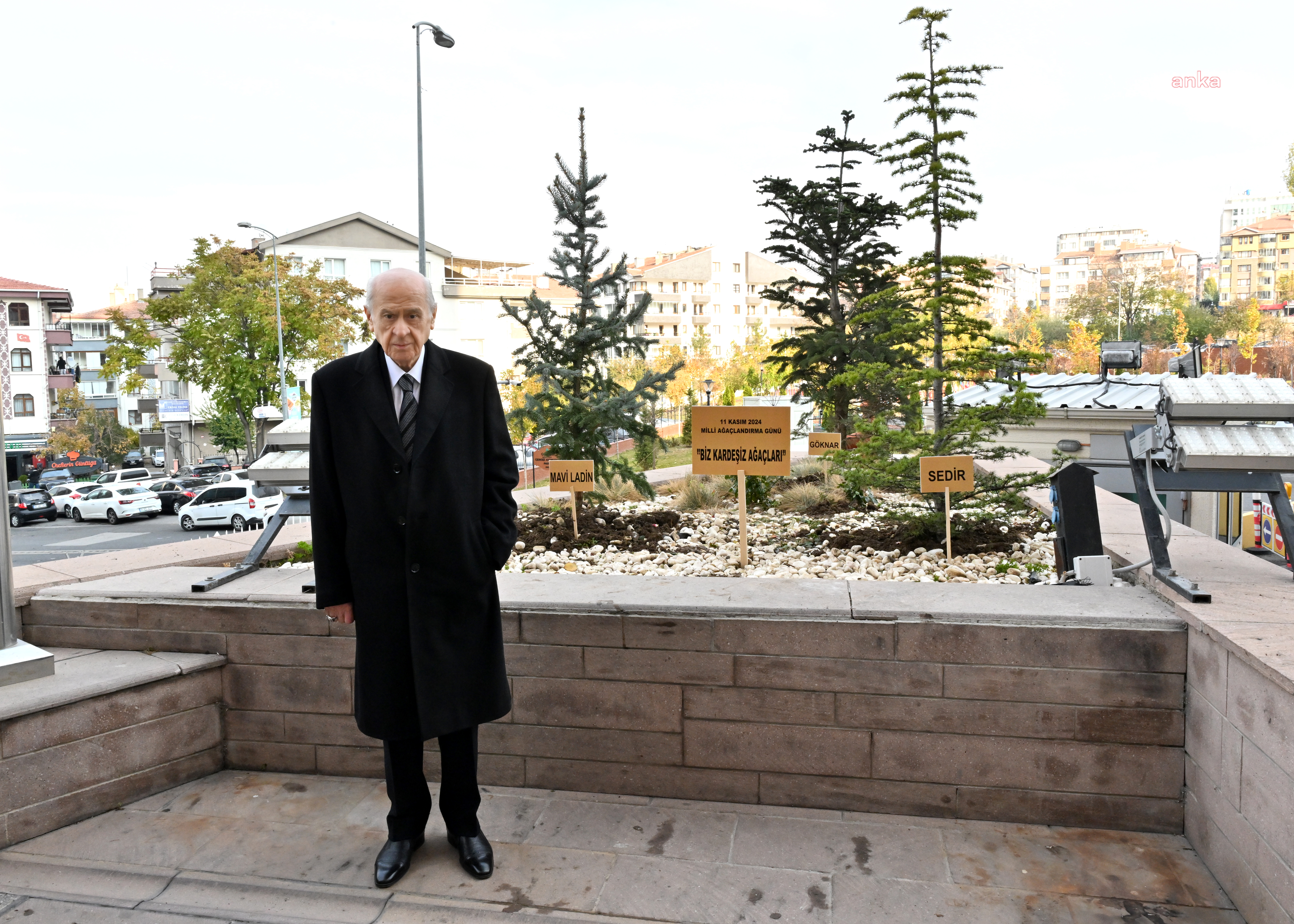 MHP Genel Merkezi önüne "Biz Kardeşiz" temasıyla ağaç dikildi