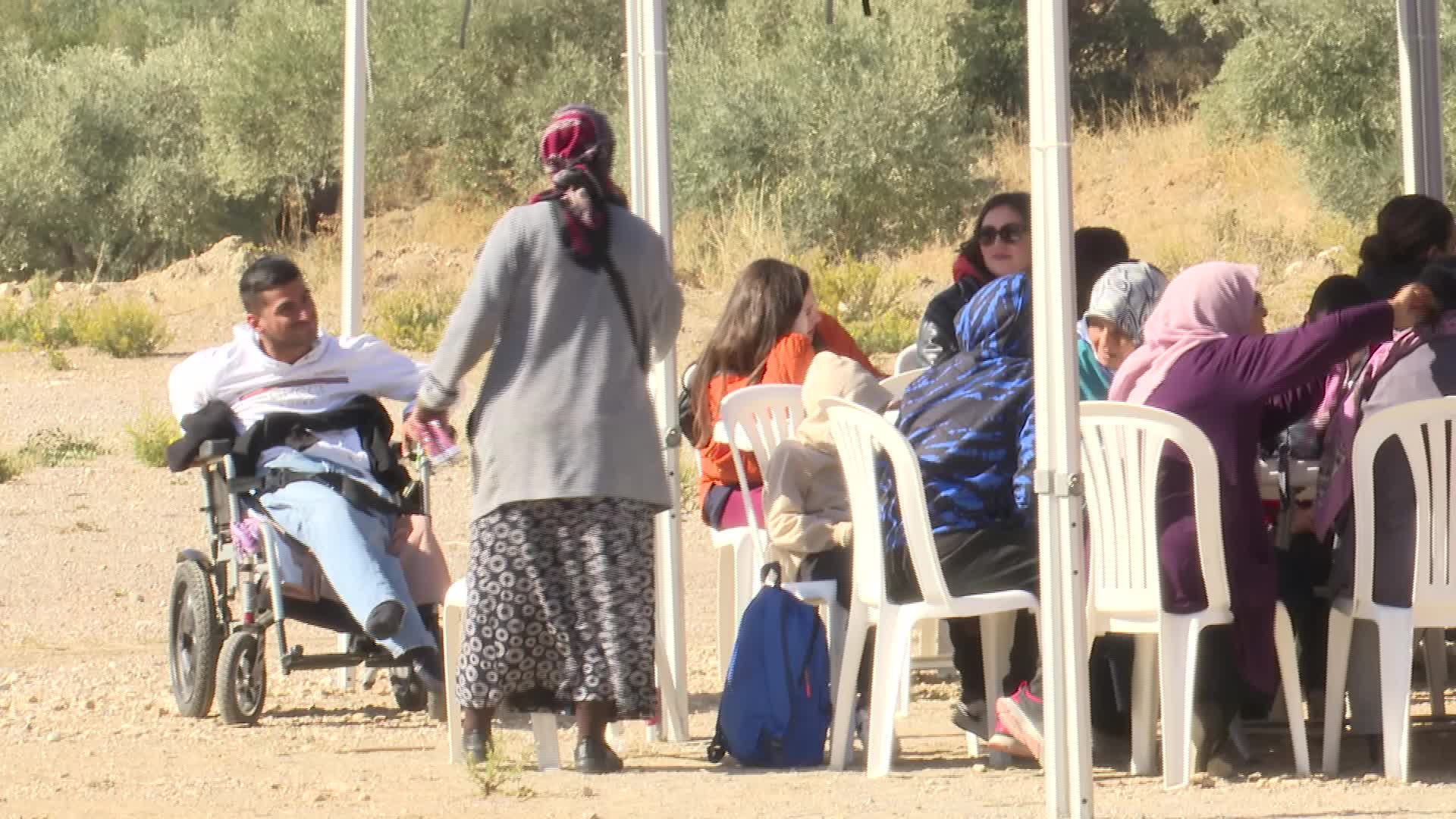 İzmir Büyükşehir Belediyesi'nin düzenlediği etkinlikte engelli bireyler zeytin hasadı yaptı