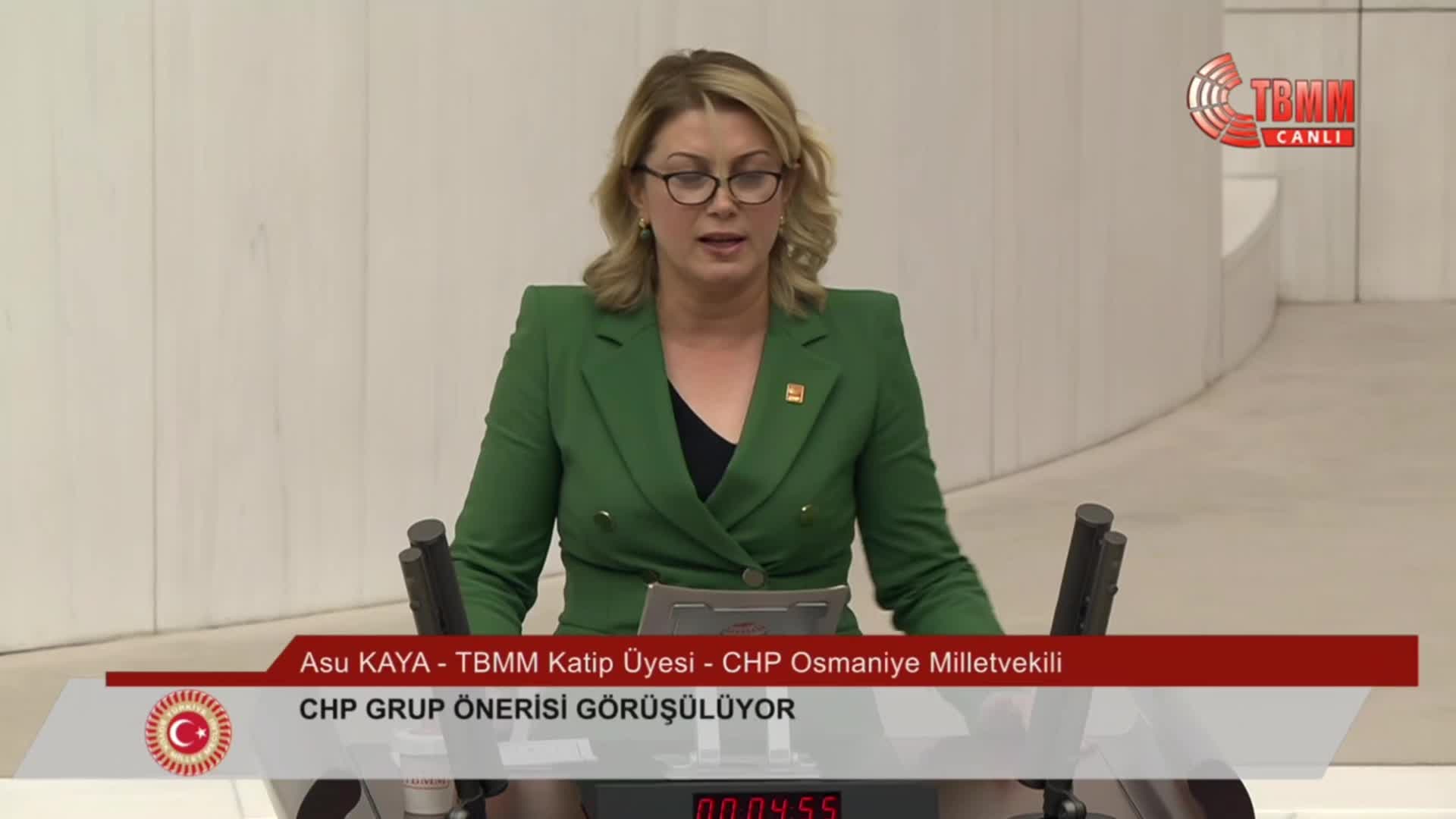 TBMM Genel Kurulu... Asu Kaya: "Bakanlık o sefaleti 18 kez görmüş, bir çözüm üretememişsiniz. Herhalde bu hayatı o da istemezdi"