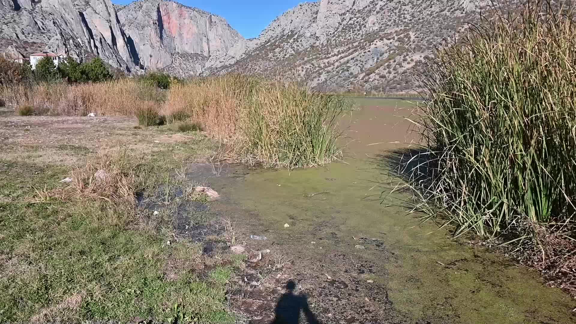 Çekerek Irmağı'nda kirlilik