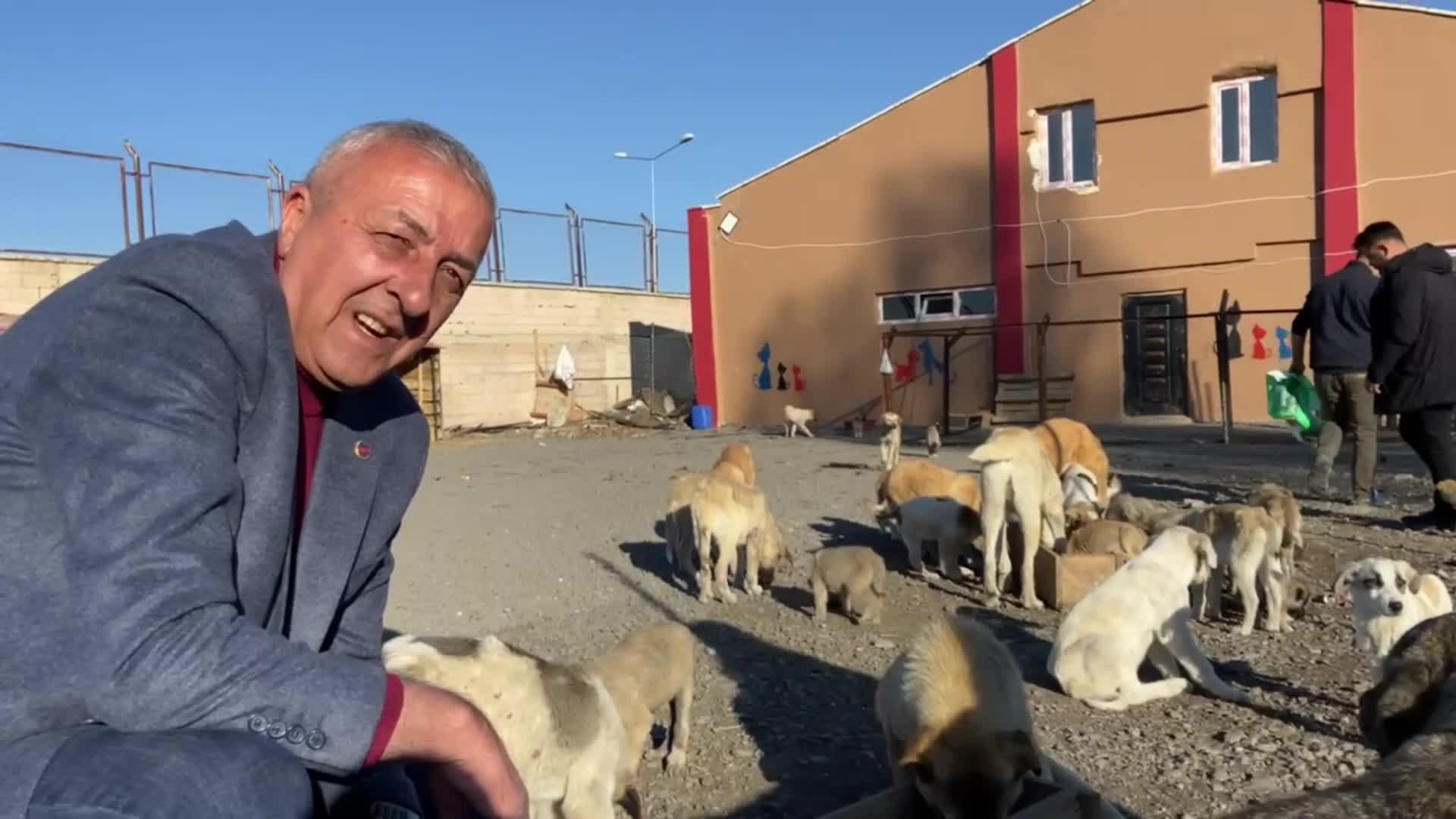 CHP'li Göle Belediyesi sokak hayvanlarının barınabileceği yeni bir bakım merkezi açtı