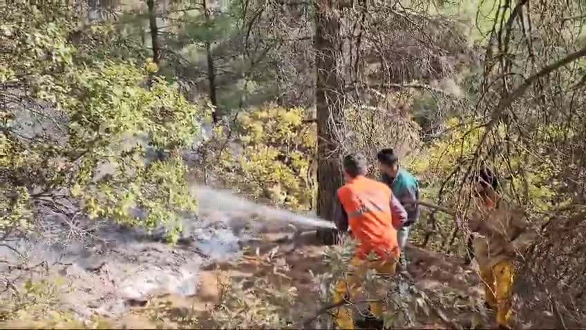 OGM'den Kahramanmaraş'ın Onikişubat ilçesindeki orman yangınına ilişkin açıklama: "Kontrol altına alma çalışmaları sürüyor"
