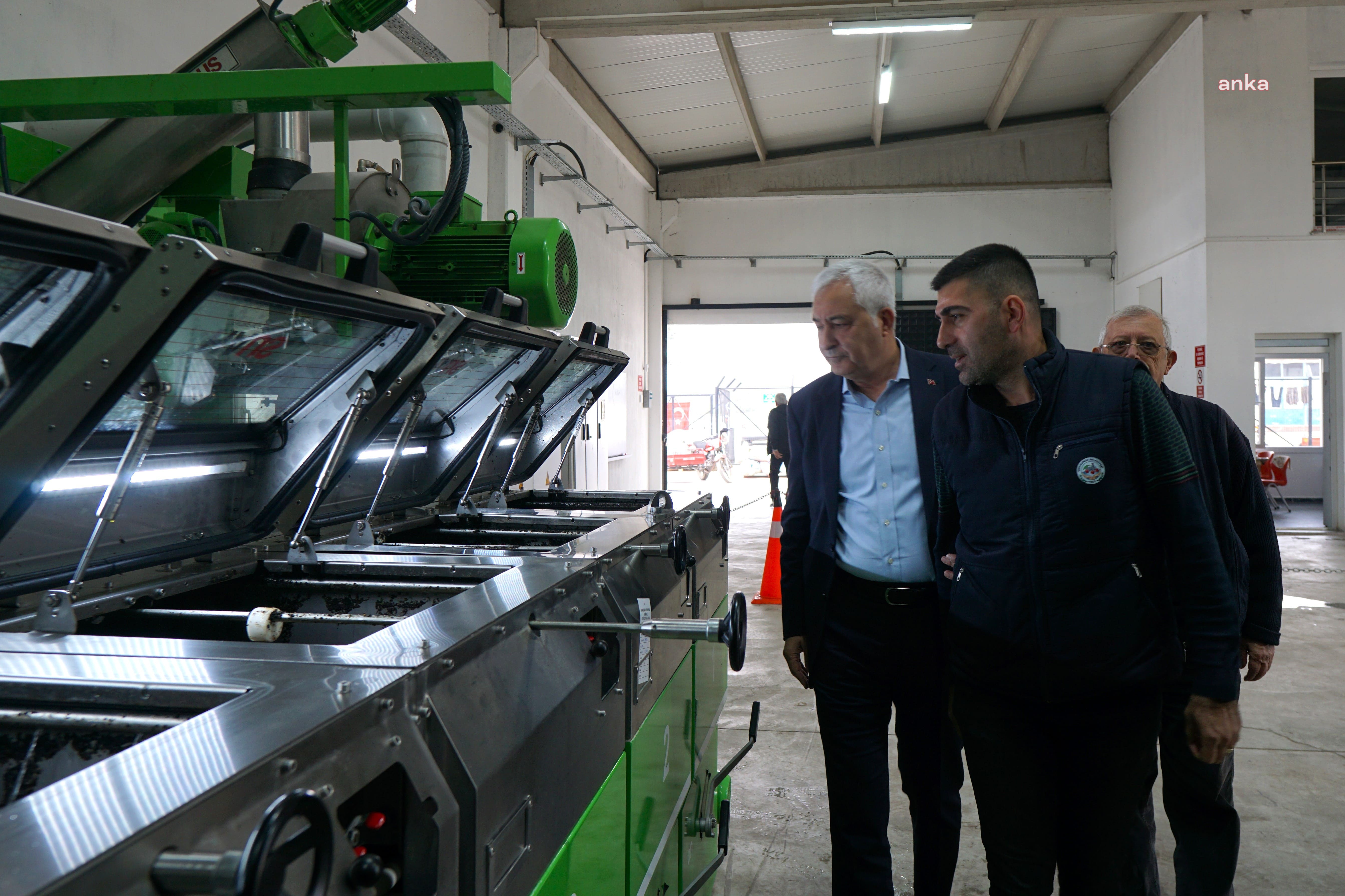 Kemalpaşa Belediyesi Zeytinyağı Fabrikası’nda zeytinyağı sıkım işlemleri başladı