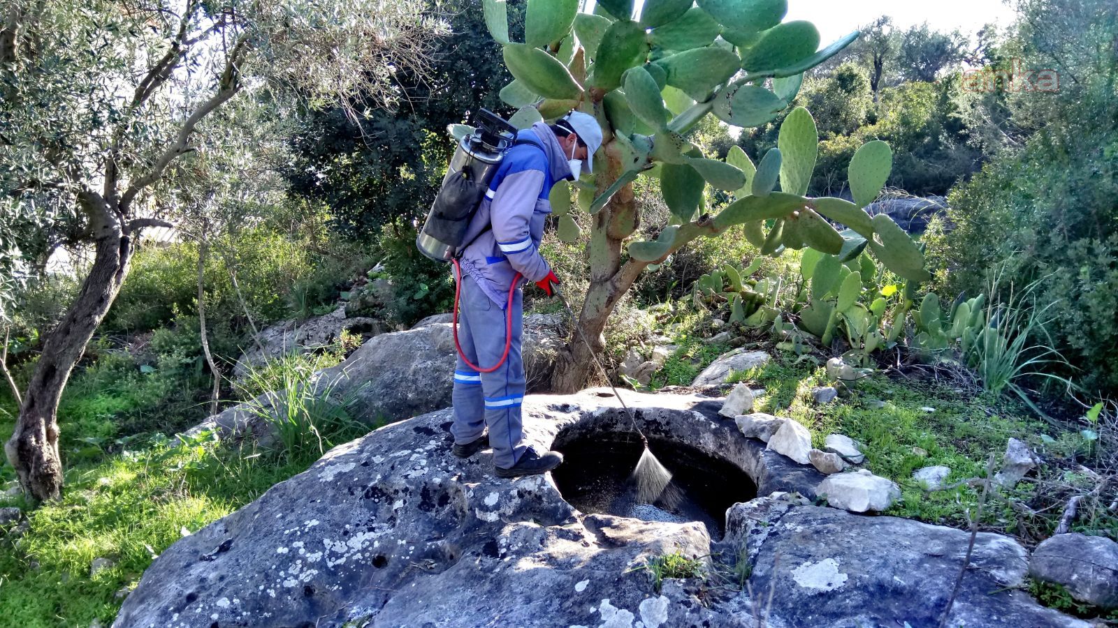 ANTALYA BÜYÜKŞEHİR SİNEKLE MÜCADELEDE KIŞ MESAİSİNE GEÇTİ