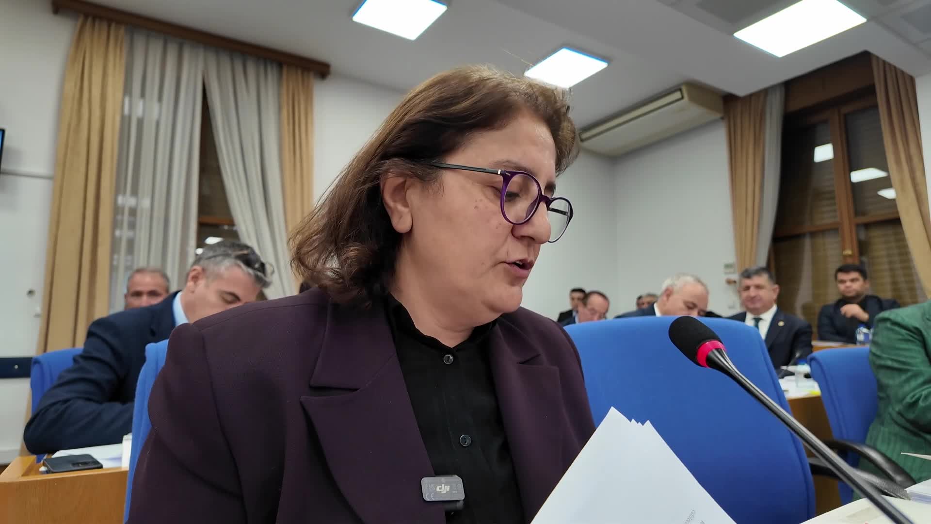 DEM Partili Ayten Kordu'dan İliç tepkisi: "Hiç kimse orada yaşanan facianın ve 9 canın hesabını vermedi, vermemekte de ısrar ediyor. Altın madeni tekrar hayata geçirilmek isteniyor''