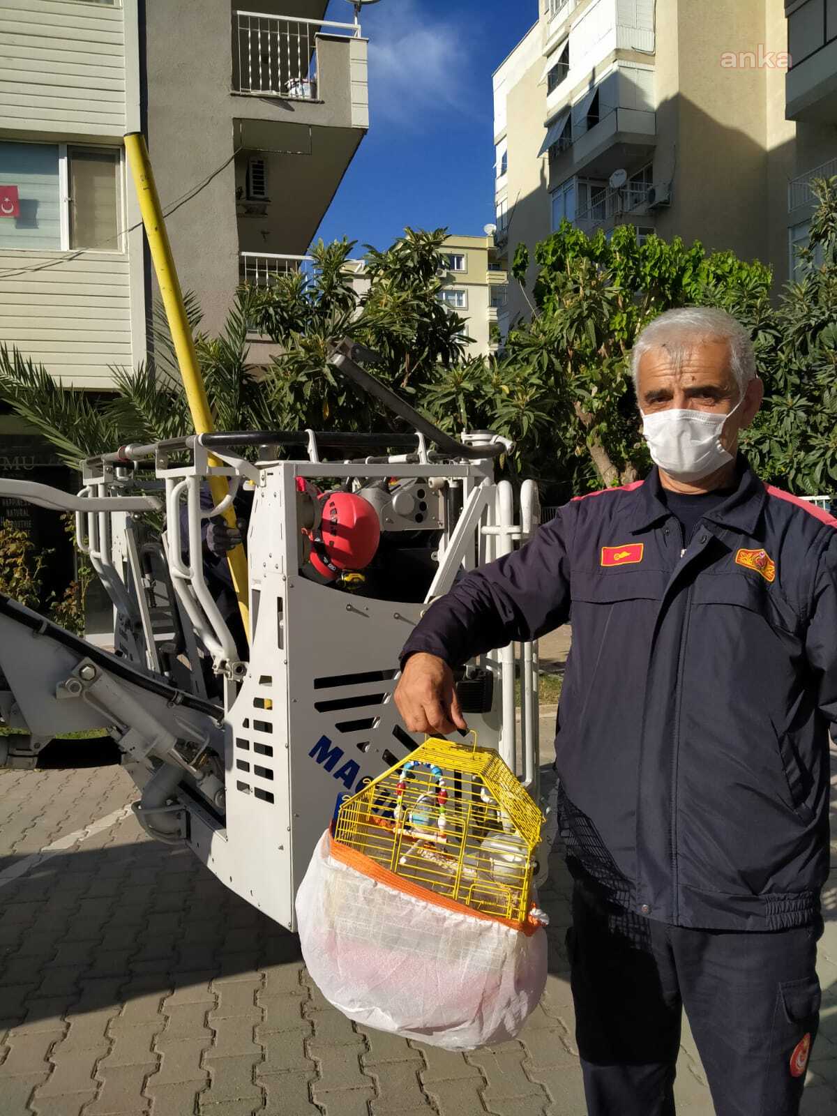 İTFAİYE KURTARDI, MUHABBET KUŞU ÇAPKIN SAHİBİ İLE BULUŞTU