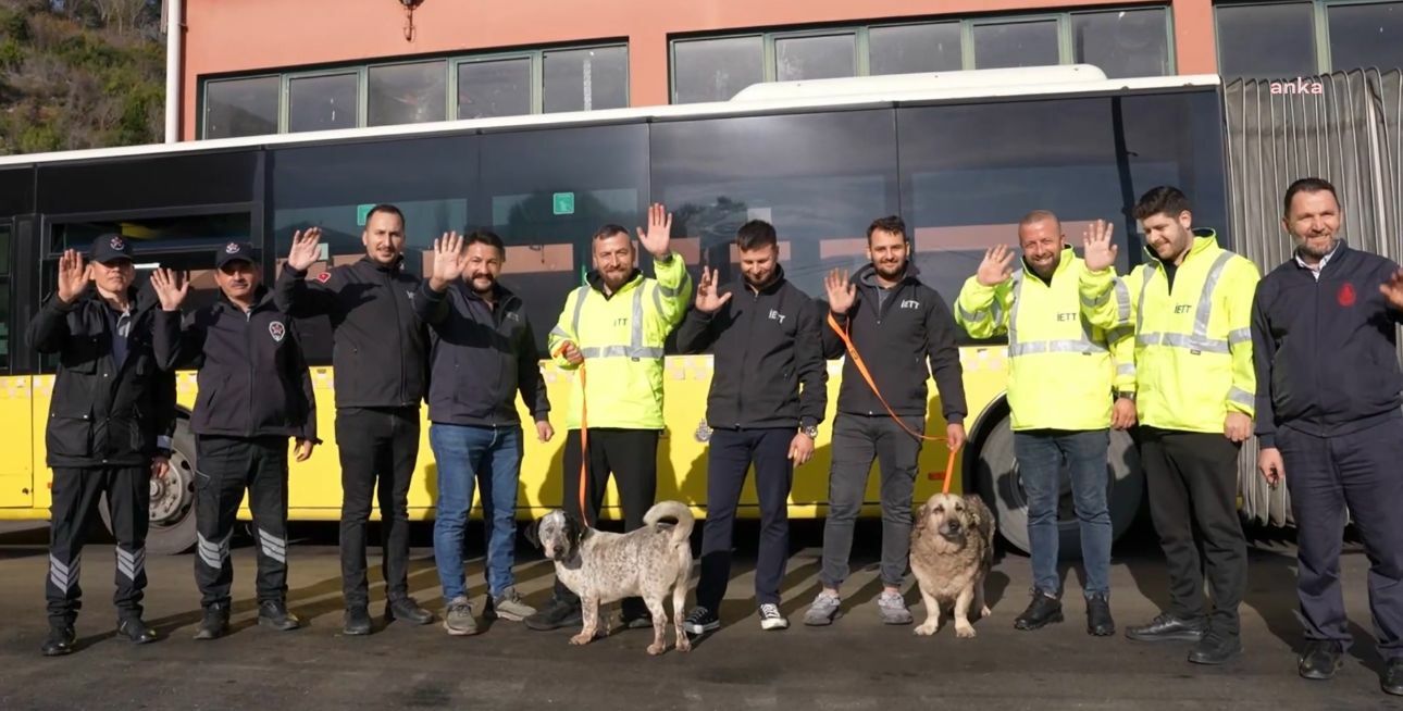 İETT’nin “patili dostlar” ailesi büyüyor