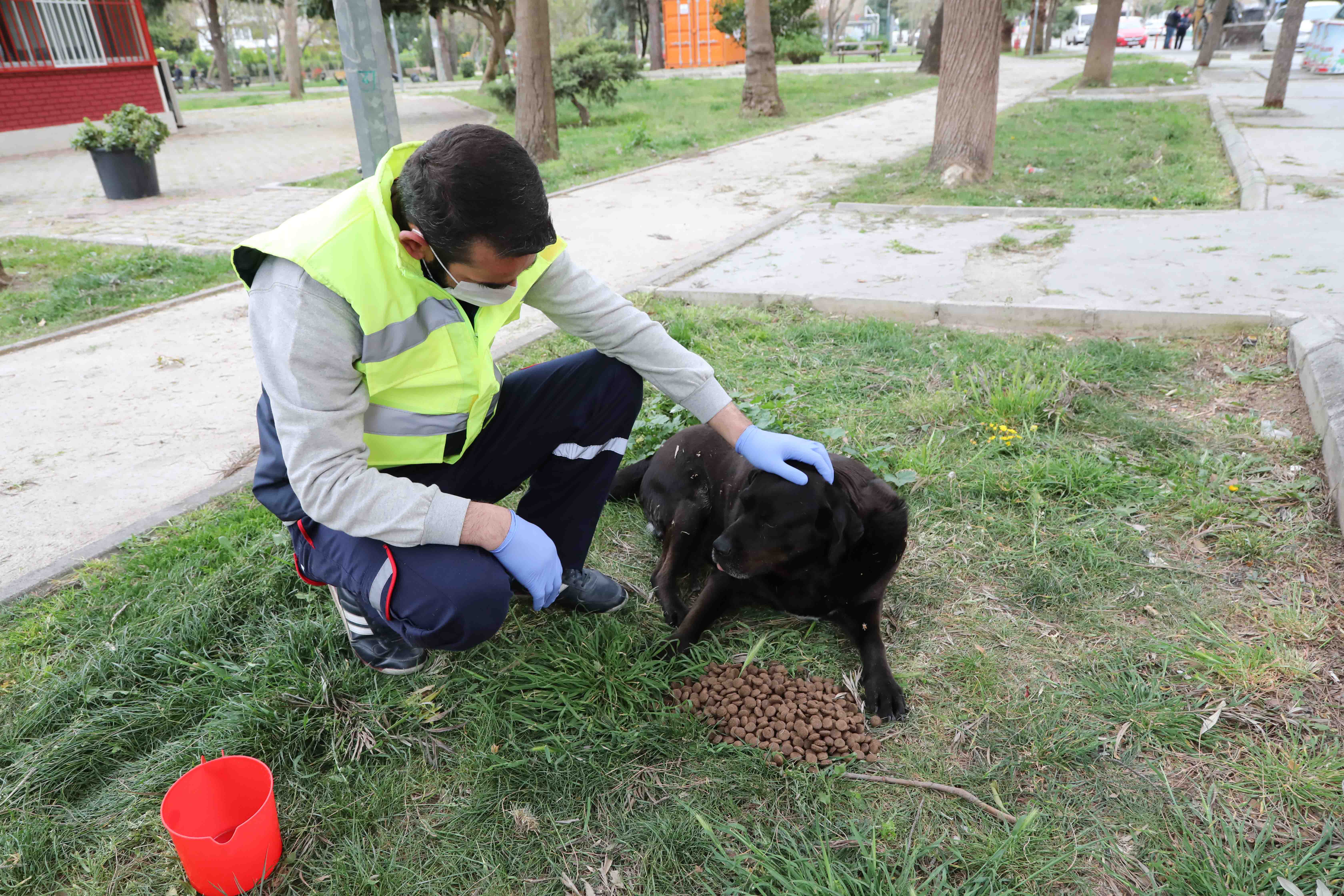 BAYRAKLI BELEDİYESİ'NDEN CAN DOSTLARA SU VE MAMA