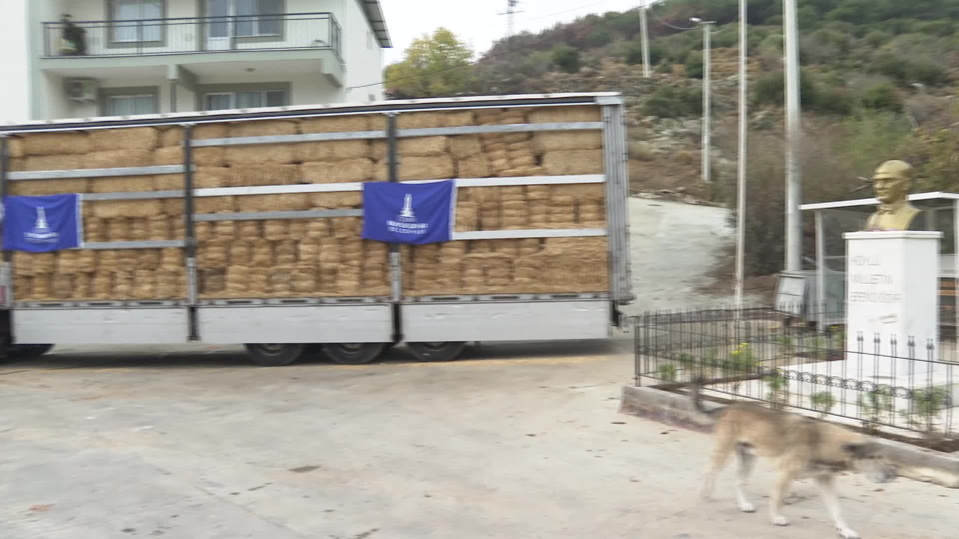 İzmir Büyükşehir Belediyesi'nden yangın mağduru çiftçilere 225 ton yem desteği