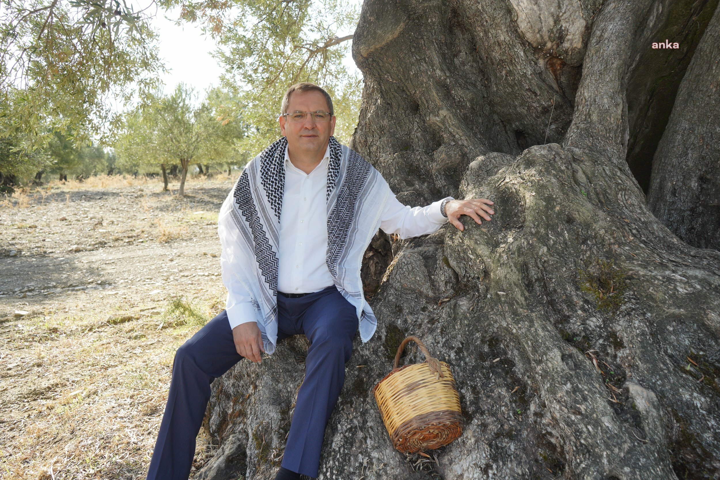 Ayvalık Belediye Başkanı Ergin: "Dünya Zeytin Ağacı Günümüz kutlu olsun"