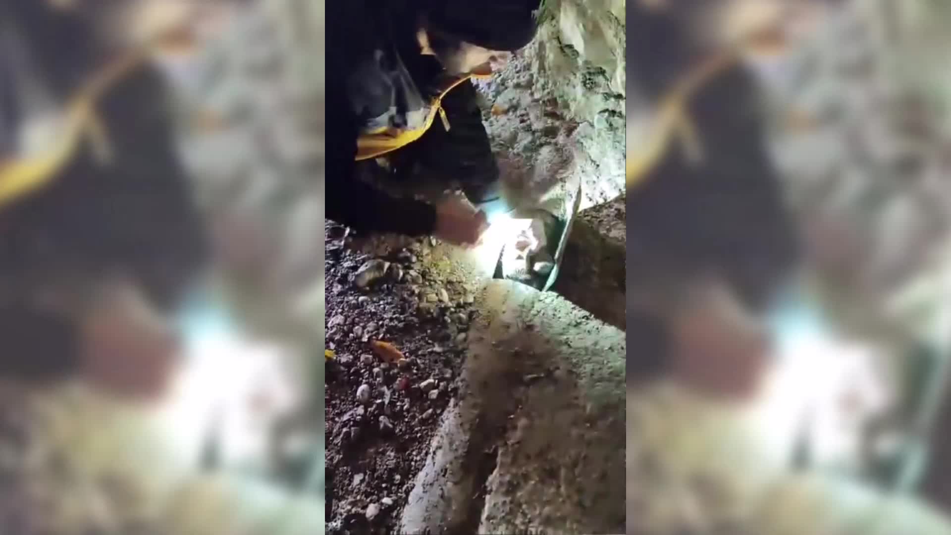 Bilecik'te ısınmak için demir borunun içine giren yavru köpek, belediye ekiplerince kurtarıldı