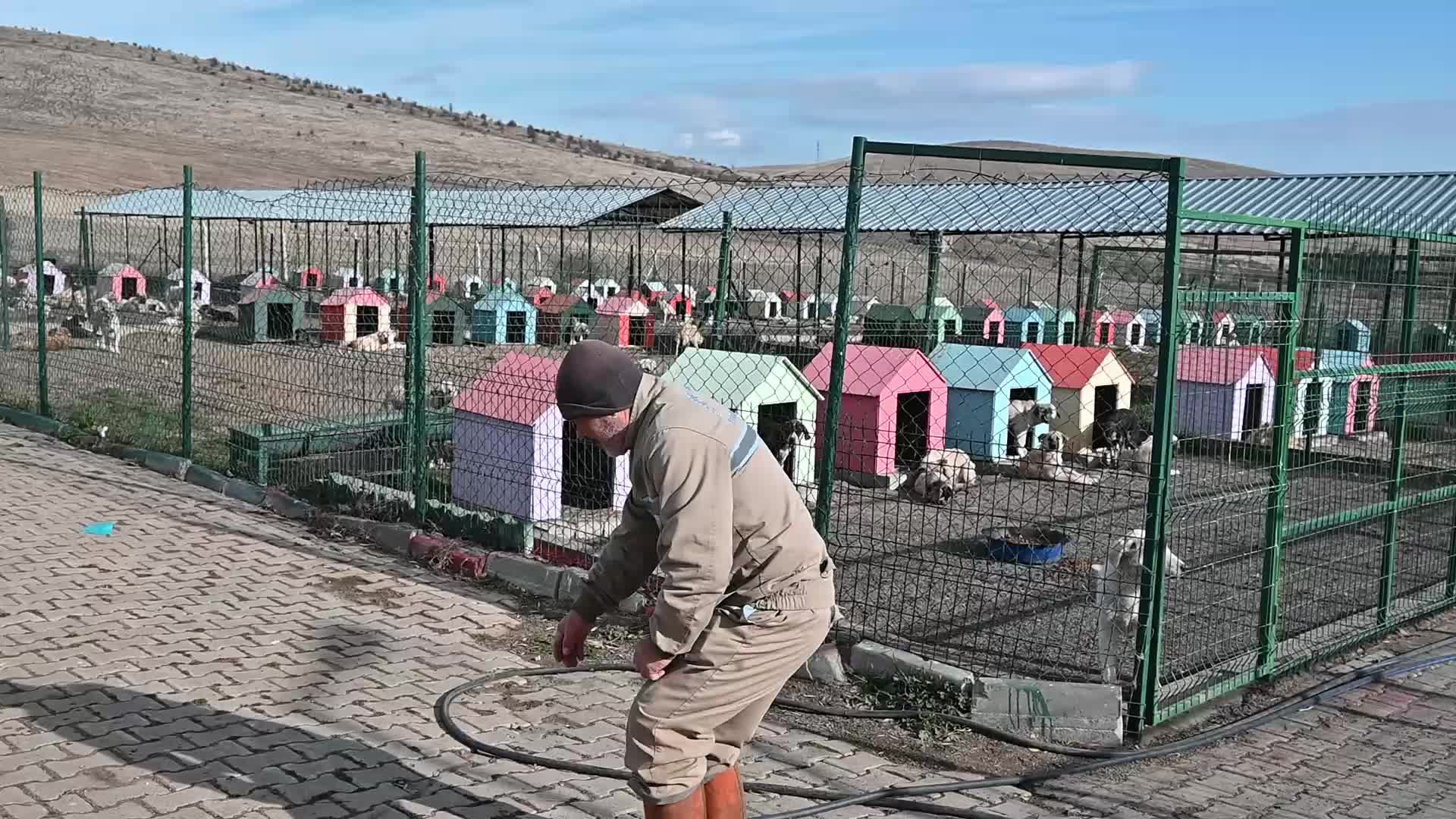 Yozgat Belediye Başkanı Arslan, 'Evcil Köy' projesini anlattı: "Belediye olarak hayvanların her türlü ihtiyacını karşılıyoruz"