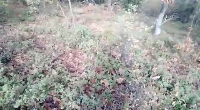 KİRAZLIYAYLA'DA MADEN ŞİRKETİ AĞAÇ KESİMİNE BAŞLADI, KÖYE GİRİŞ ÇIKIŞLAR KAPATILDI