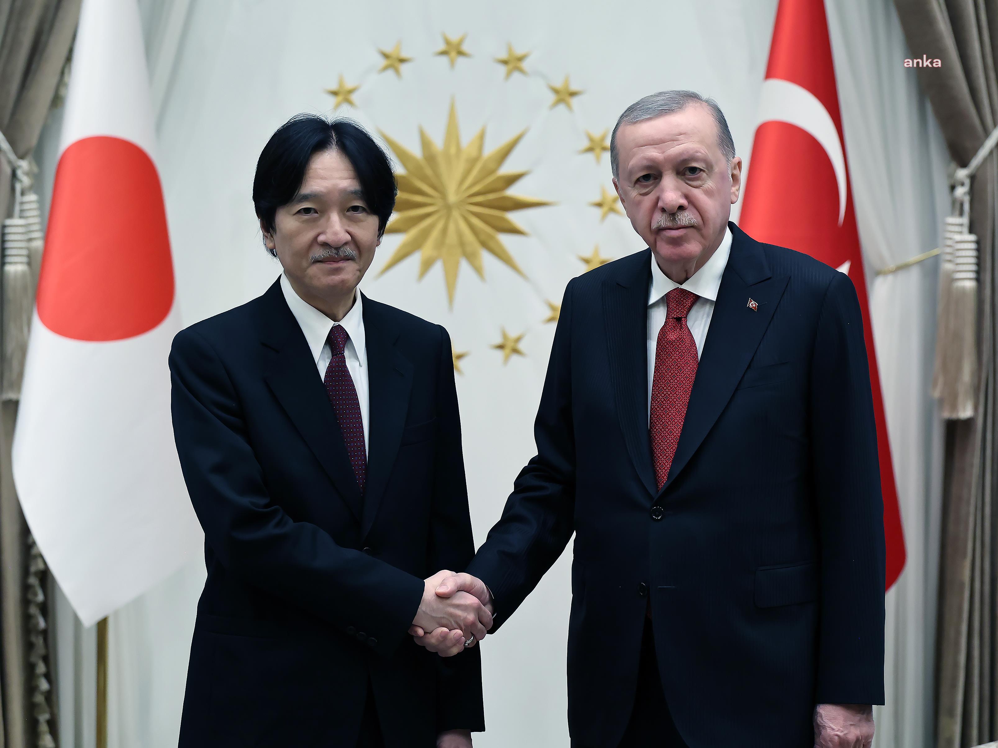 Cumhurbaşkanı Erdoğan, Japonya Altes Veliaht Prensi Fumihito'yu kabul etti