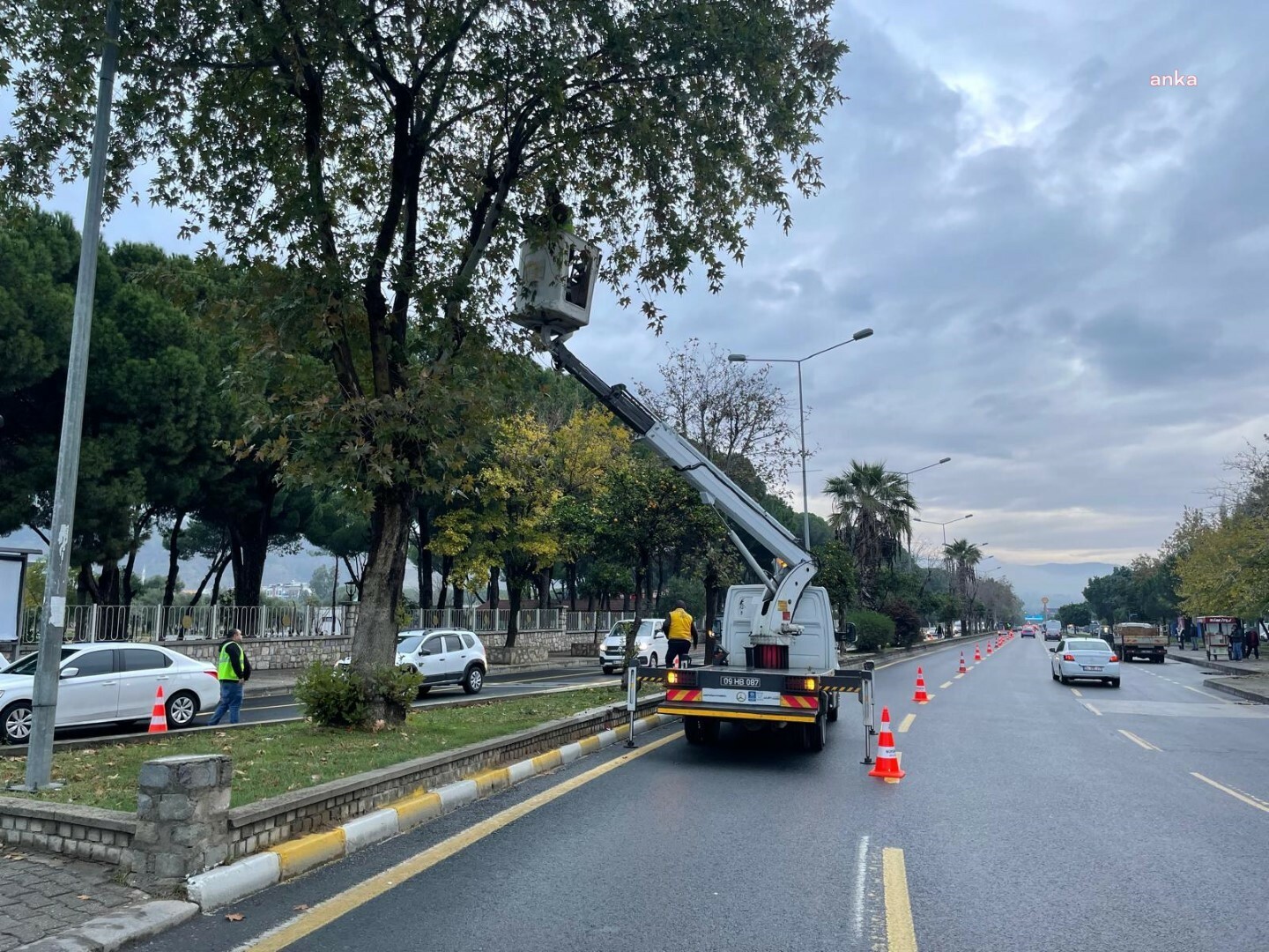 Aydın Büyükşehir Belediyesi Park ve Bahçeler Dairesi Başkanlığı’ndan Efeler’de çalışma
