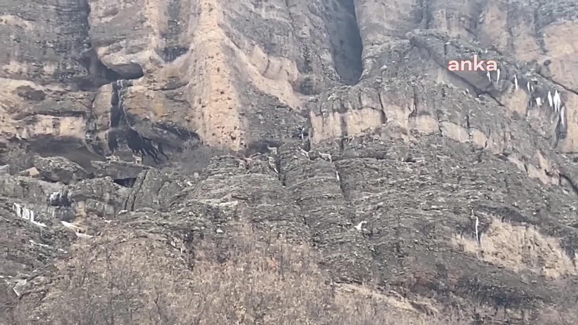 Malatya'da 2 bin yıllık Taş Köprü restorasyonu mahkemelik oldu