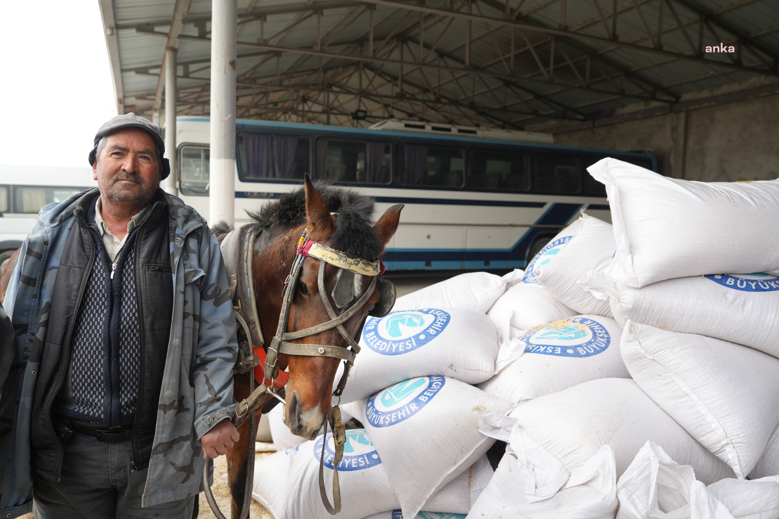 Eskişehir Büyükşehir Belediyesi'nden Çifteler'deki üreticilere yem desteği