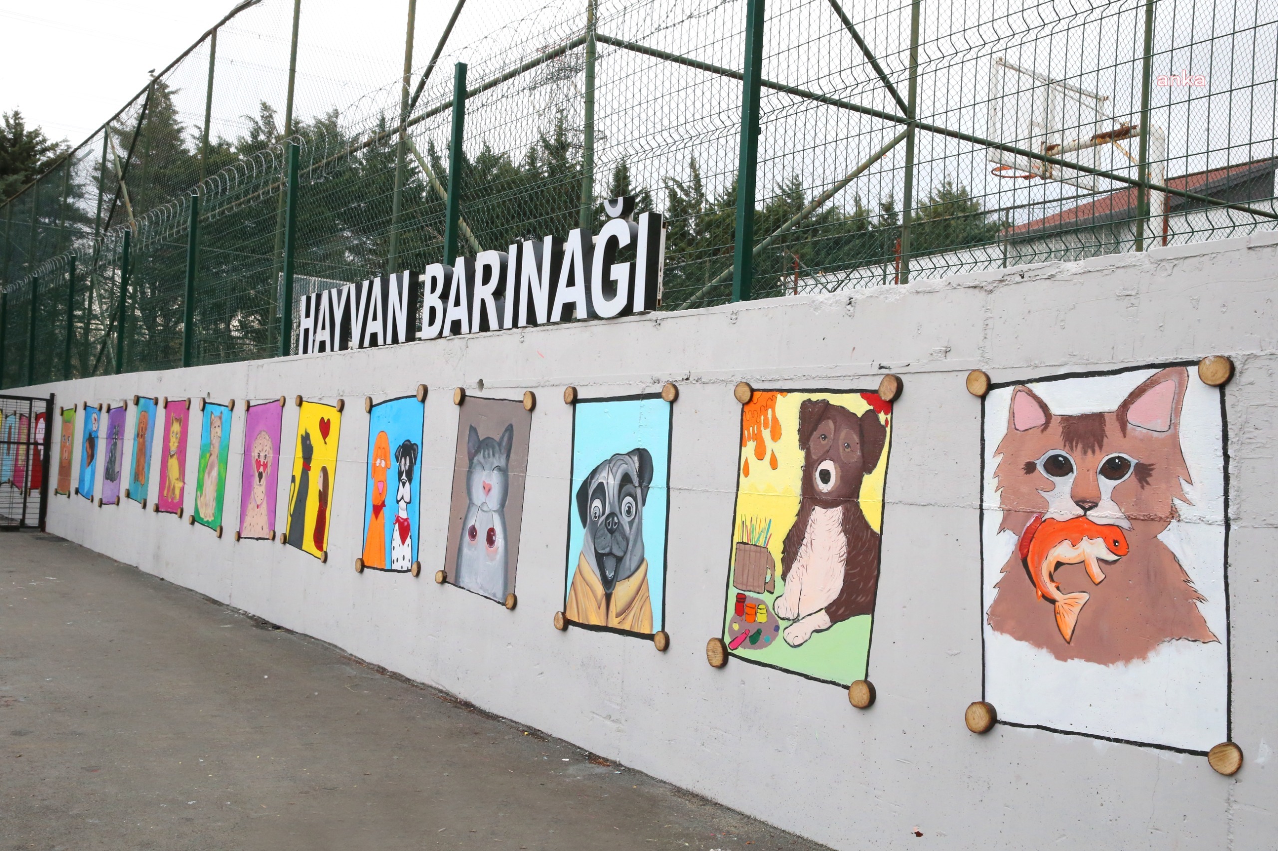Bayrampaşalı öğrenciler, can dostları için resim yaptı
