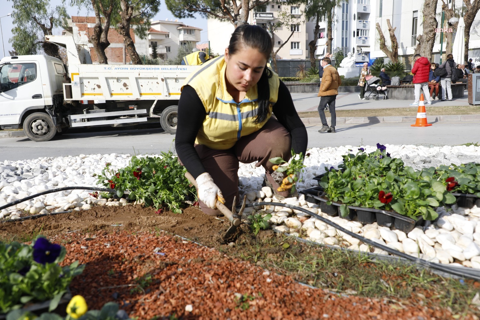 Aydın Büyükşehir Belediyesi, turizm bölgelerindeki çalışmalarını kış aylarında da sürdürüyor