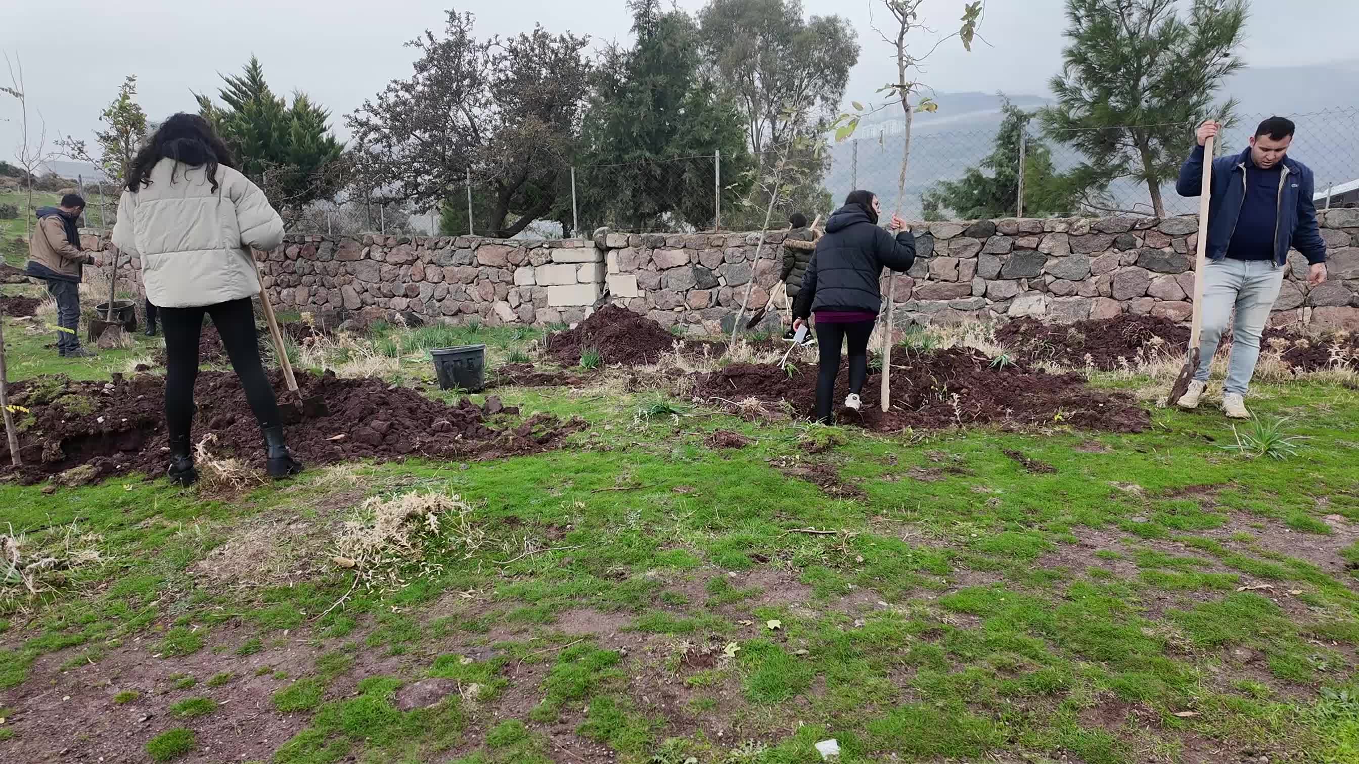 Bornova Belediyesi ve gençlerden doğaya vefa projesi