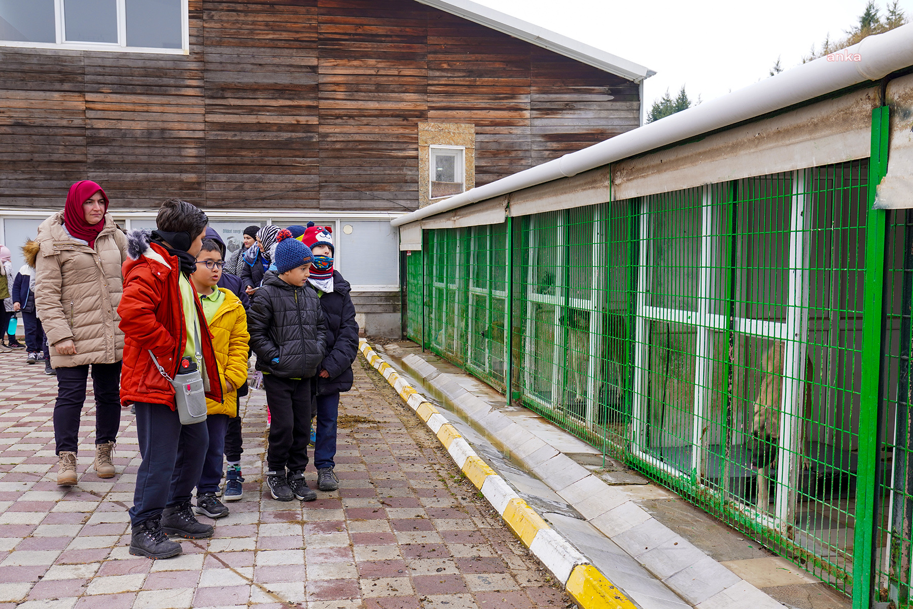 Tepebaşı'nda öğrenciler sokak hayvanları için mama bağışı yaptı