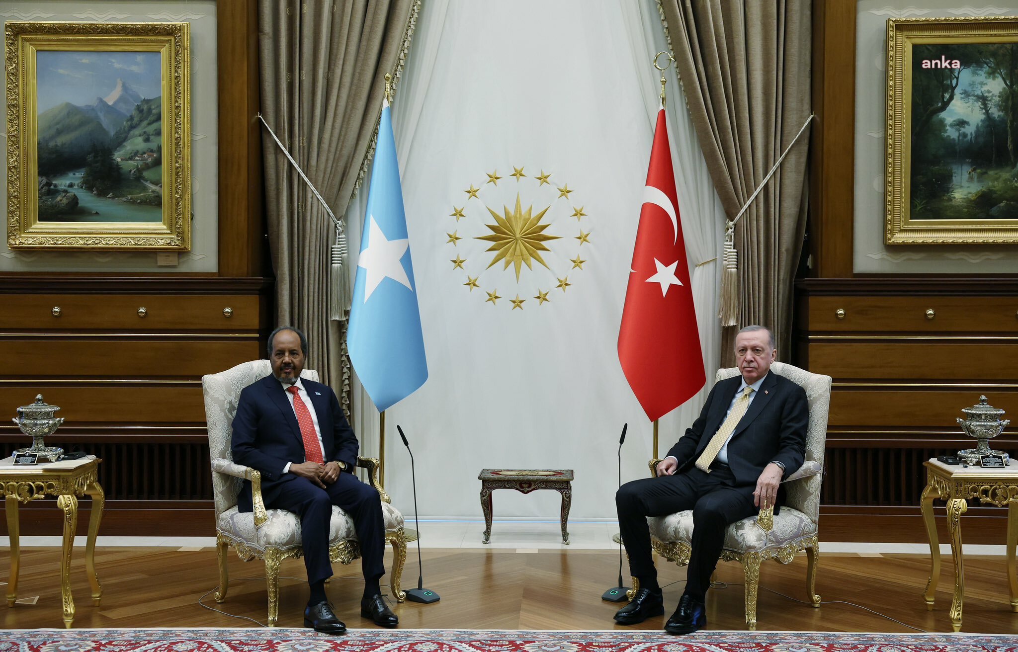 Cumhurbaşkanı Erdoğan, Somali Cumhurbaşkanı Şeyh Mahmud ile görüştü