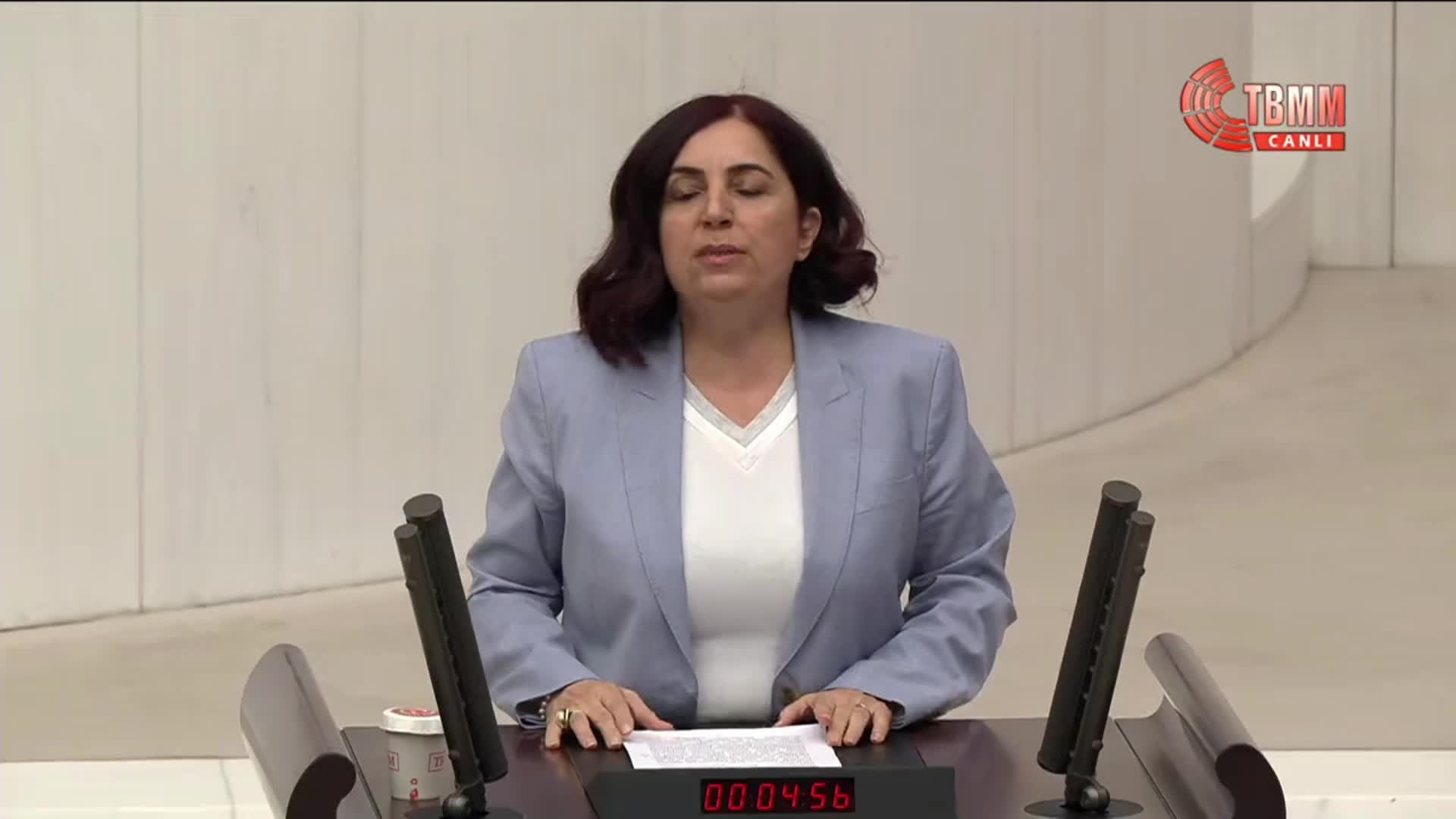 TBMM Genel Kurulu... Sevilay Çelenk: "Türkiye, bu ülkenin askerlerini canlı canlı yakmış cihatçı örgütlerde tehdit görmüyor"