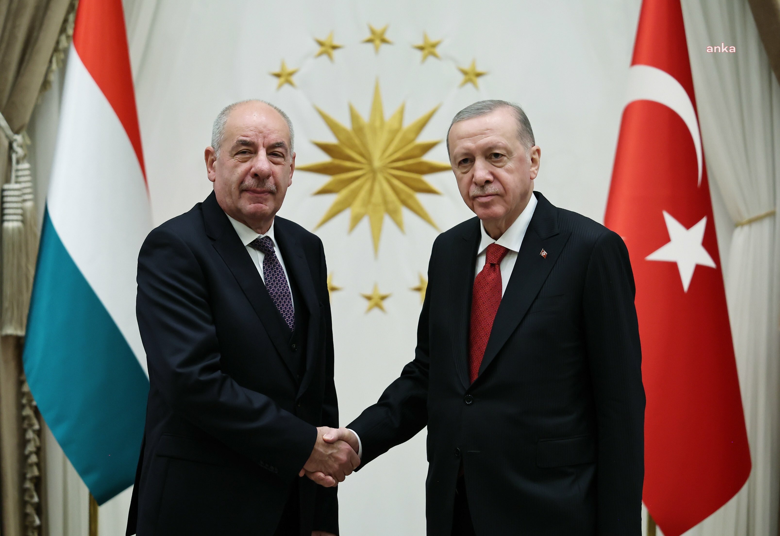 Cumhurbaşkanı Erdoğan, Macaristan Cumhurbaşkanı Şuyok ile bir araya geldi