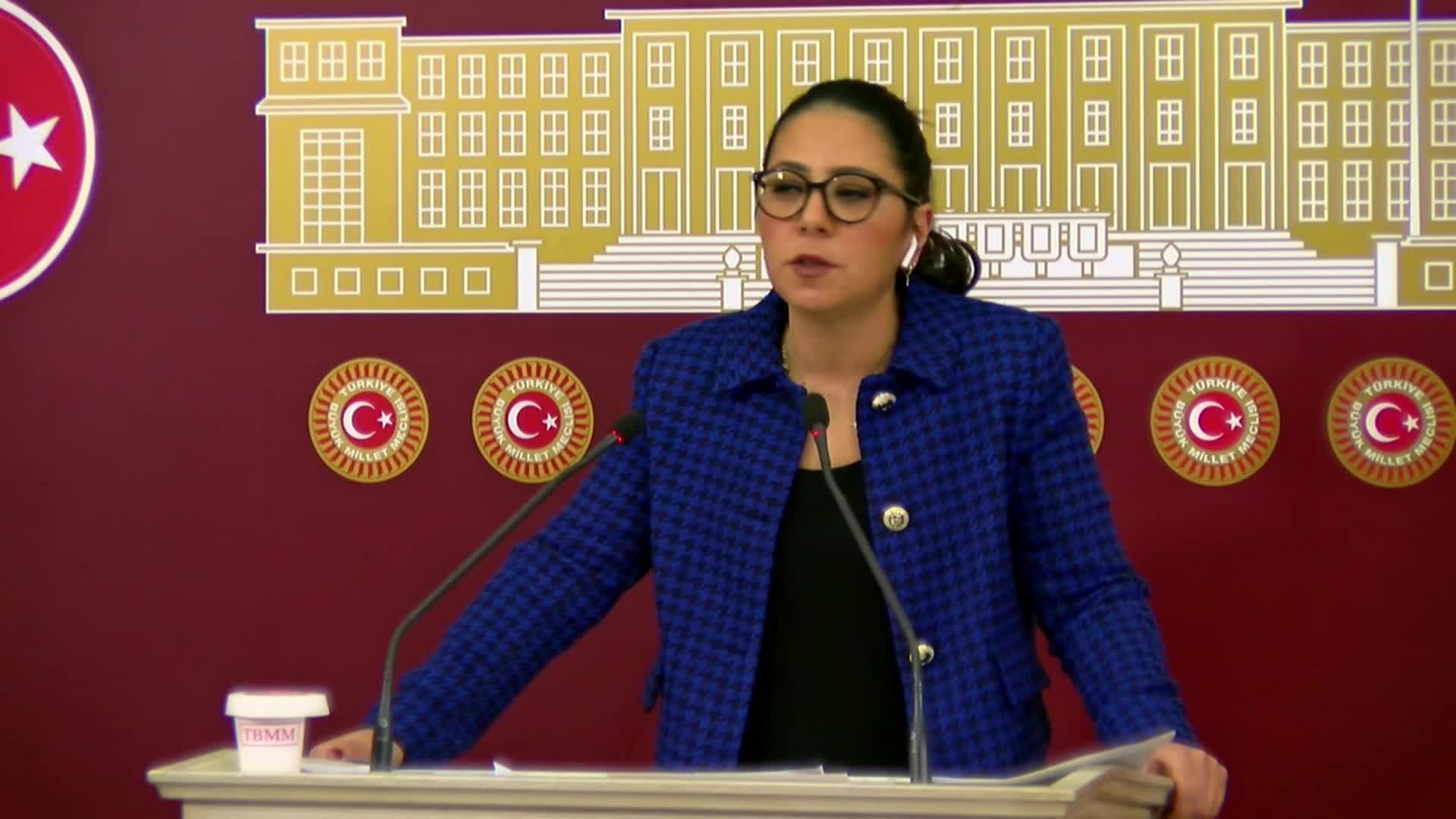 Kadıgil, Milli Savunma Bakanlığı bütçesini eleştirdi..."Halk olarak bize düşen İHA'ları, SİHA'ları, mermileri yemek olacak"