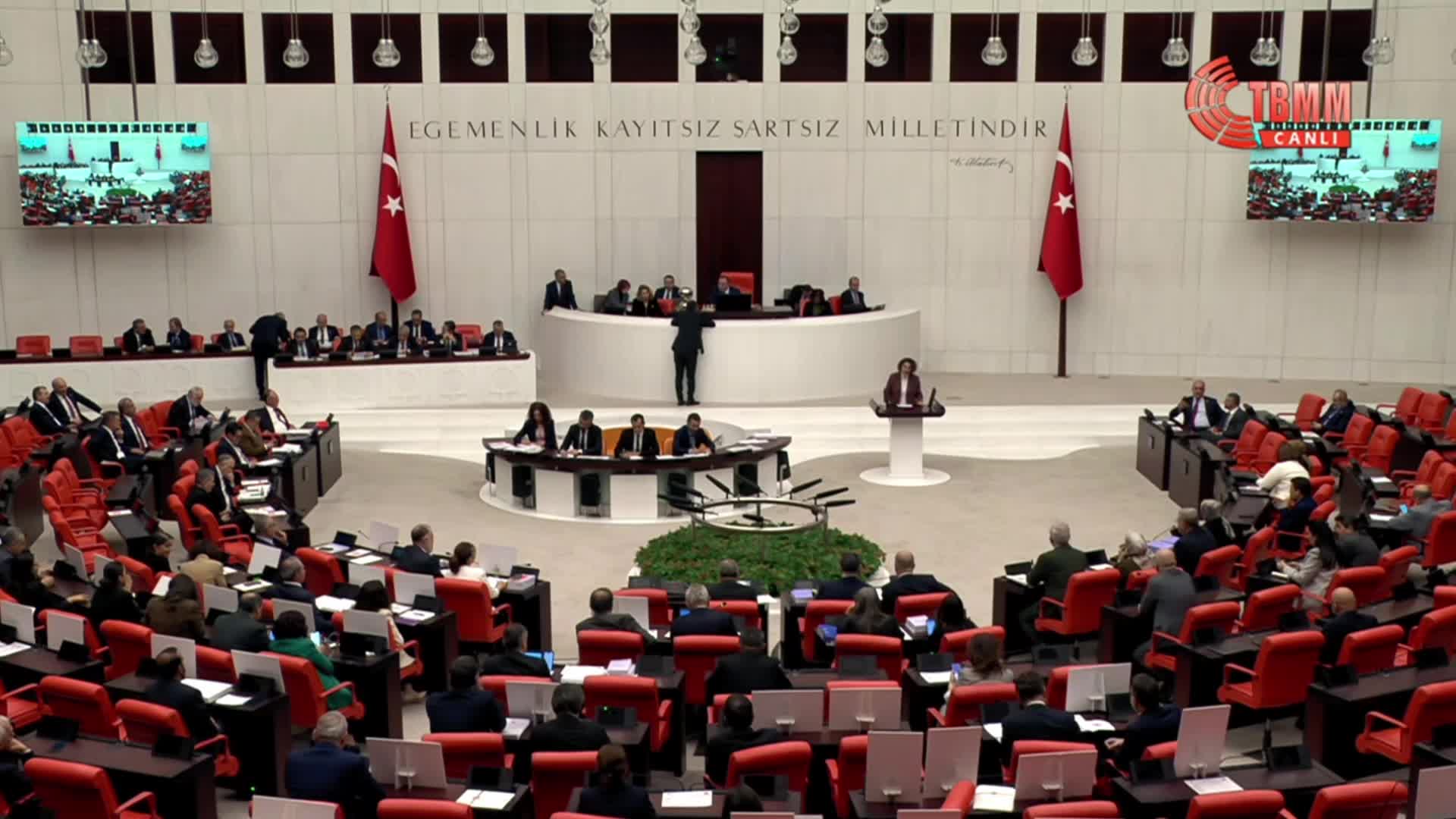 TBMM Genel Kurulu... DEM Partili Otlu: "Hiç kusura bakmayın ama çetelerle böyle mücadele olmaz"