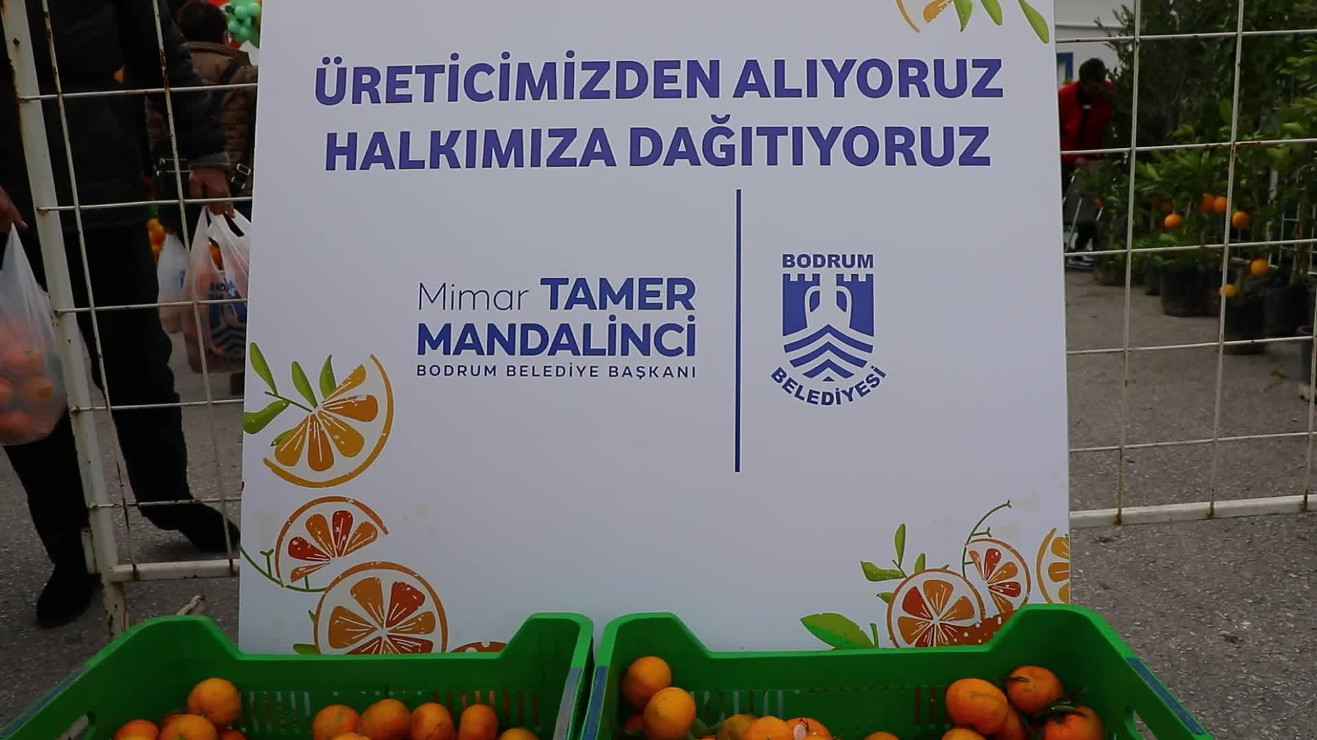 Bodrum Mandalin Festivali'ne yoğun ilgi