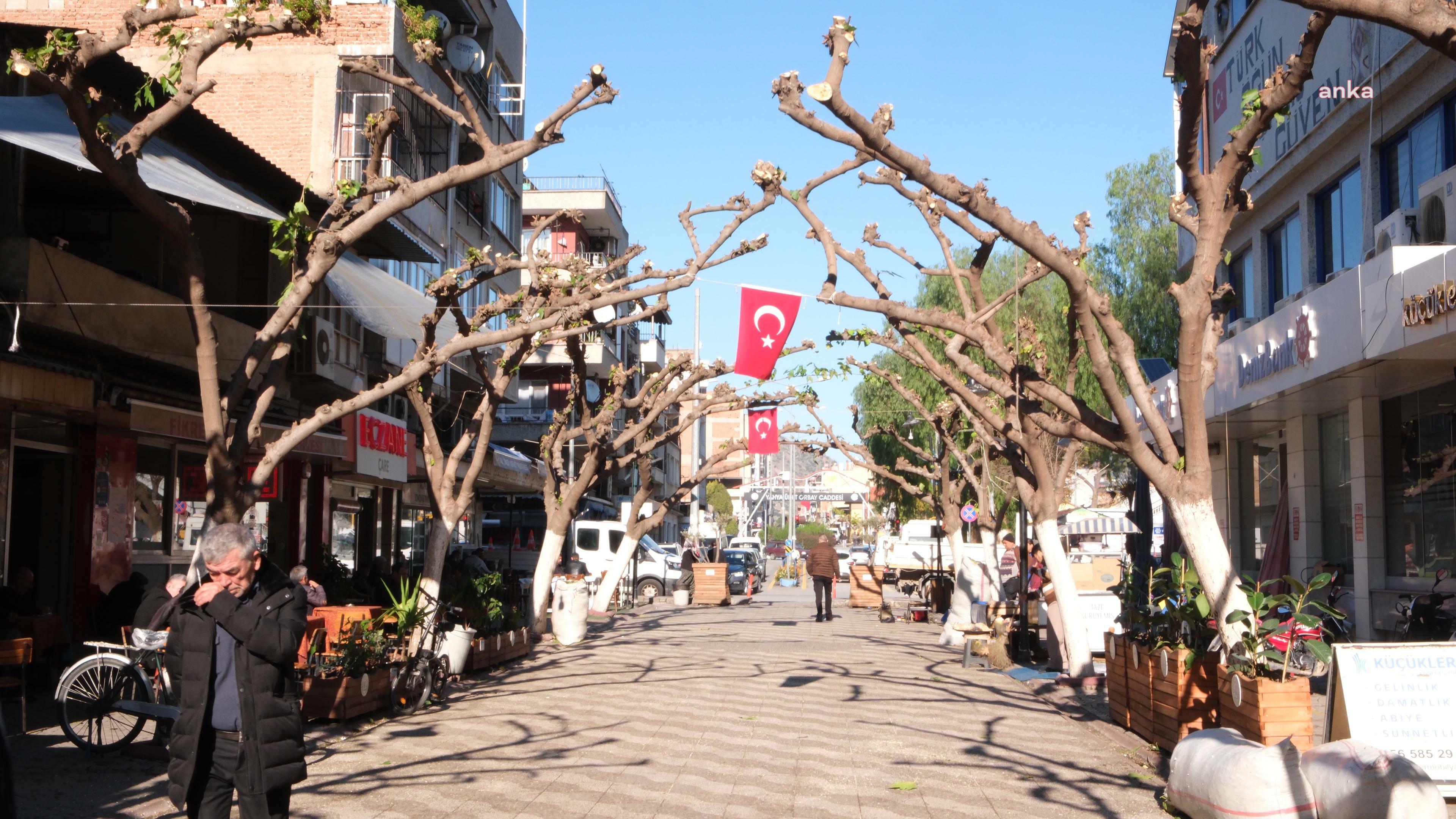 Aydın Büyükşehir Belediyesi, çevre düzenleme çalışmaları kapsamında faaliyetlerini sürdürüyor